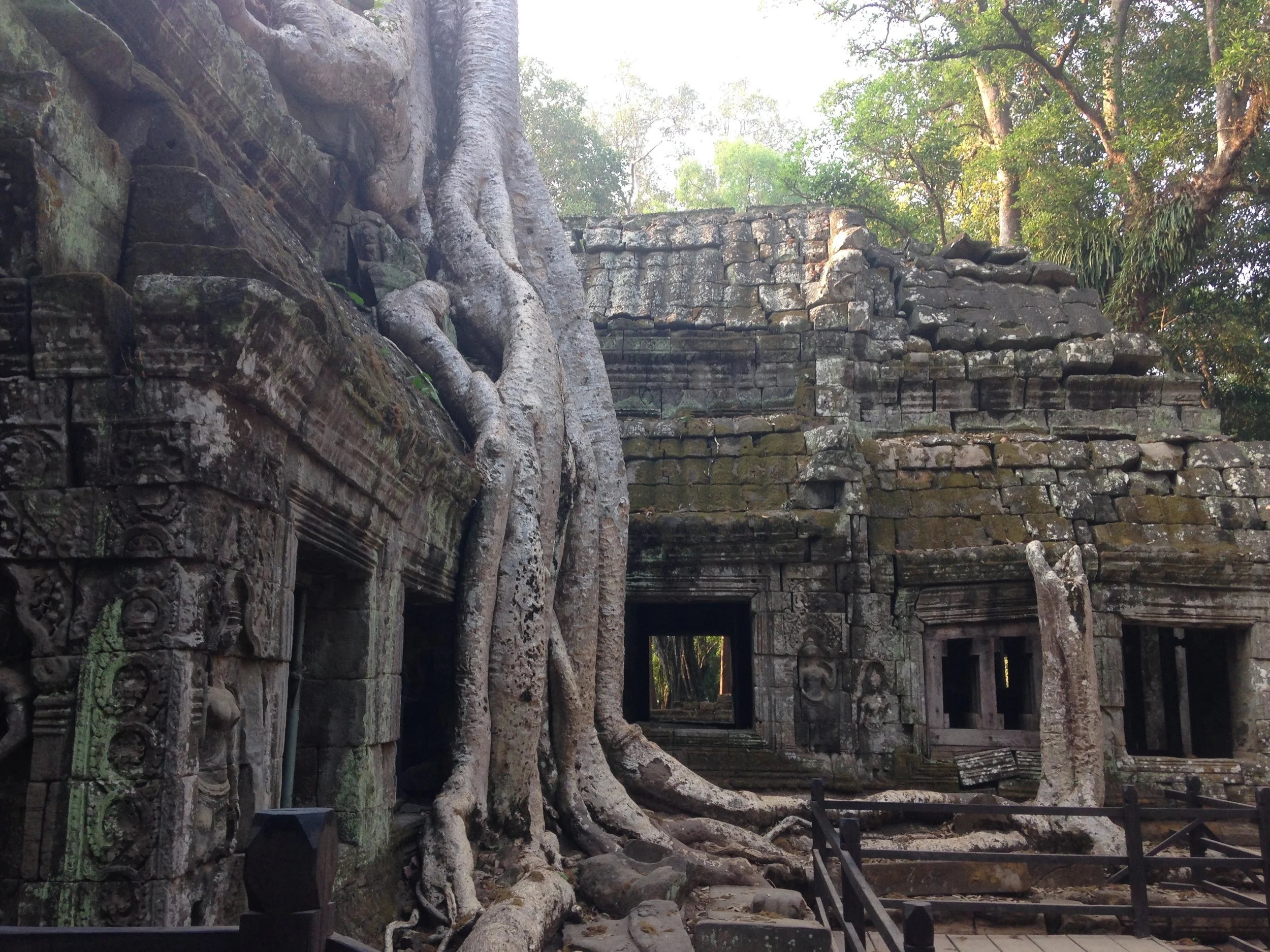 My favourite, saved to almost last. Magical Ta Prohm. 
