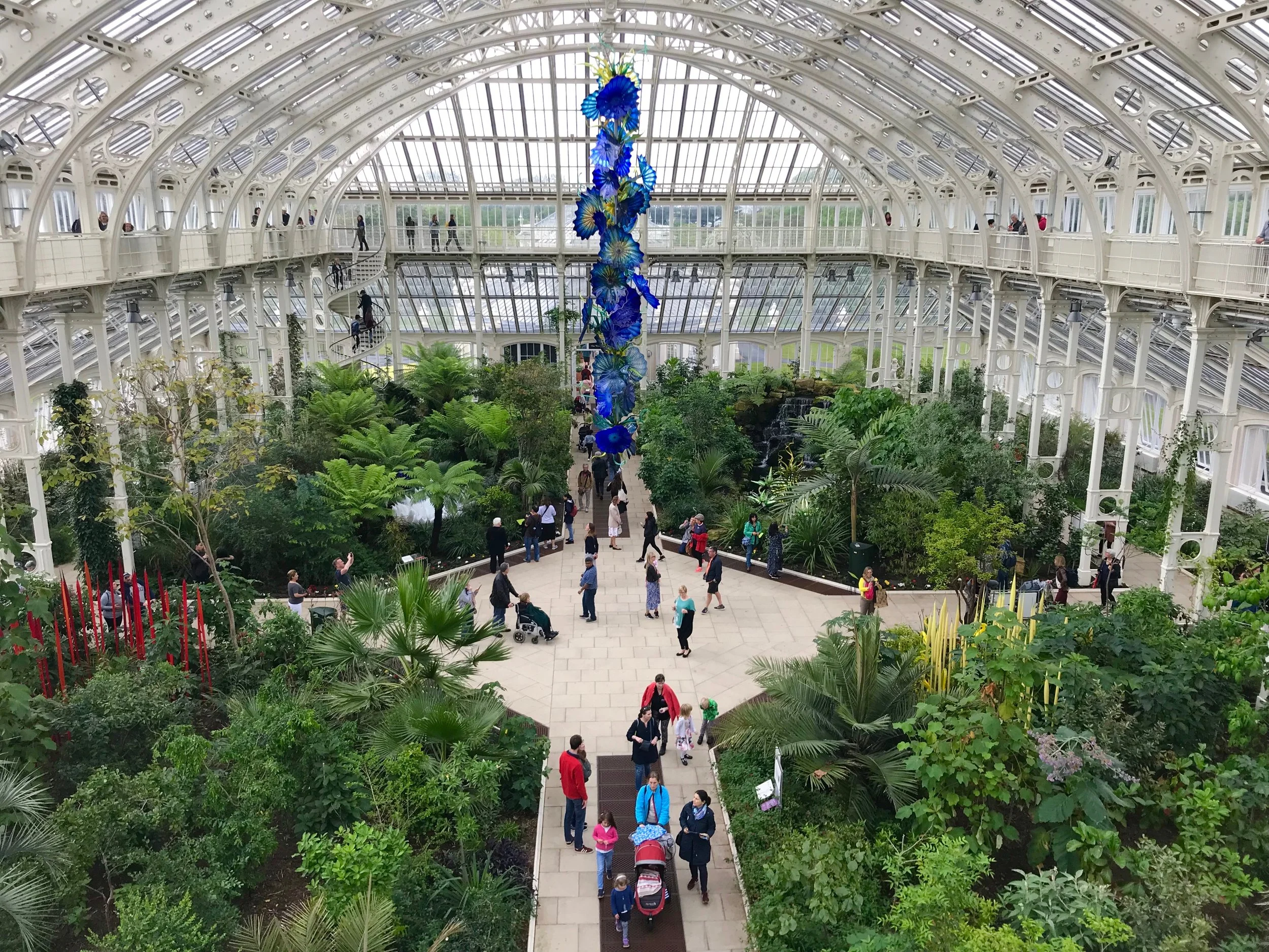 After a five year renovation the magnificent Temperate House has re-opened and is home to some of the world’s rarest and most threatened temperate plants