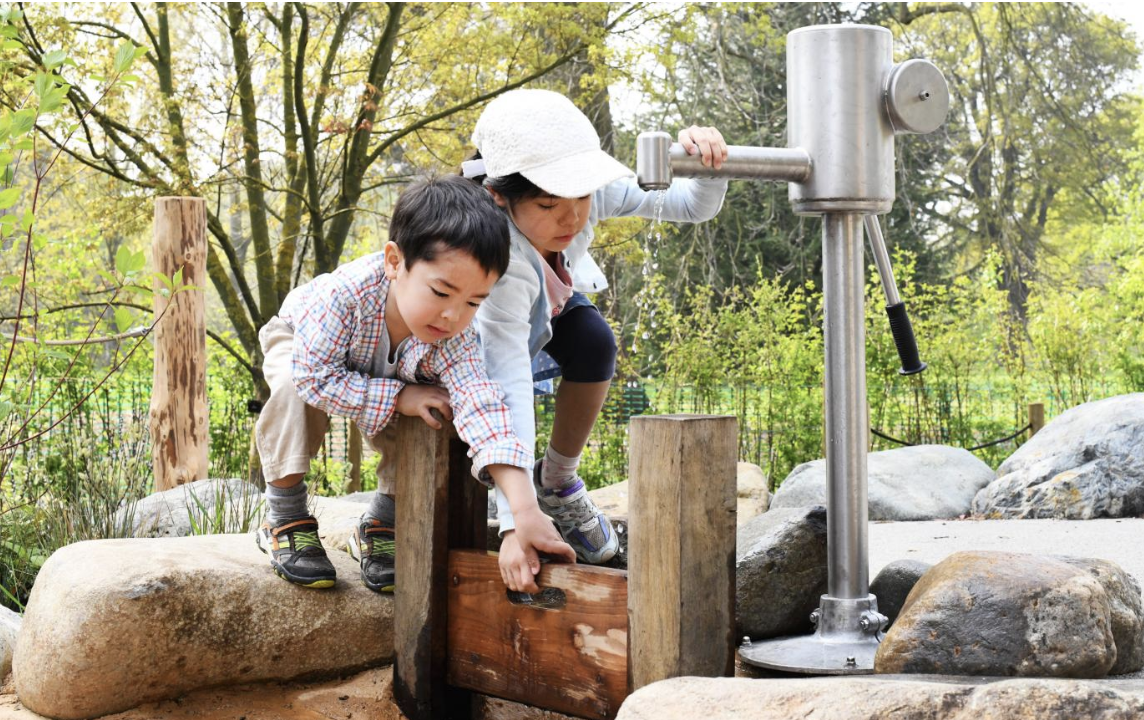 The activities in the extensive children’s garden are designed to give them an understanding of what plants need to grow and thrive