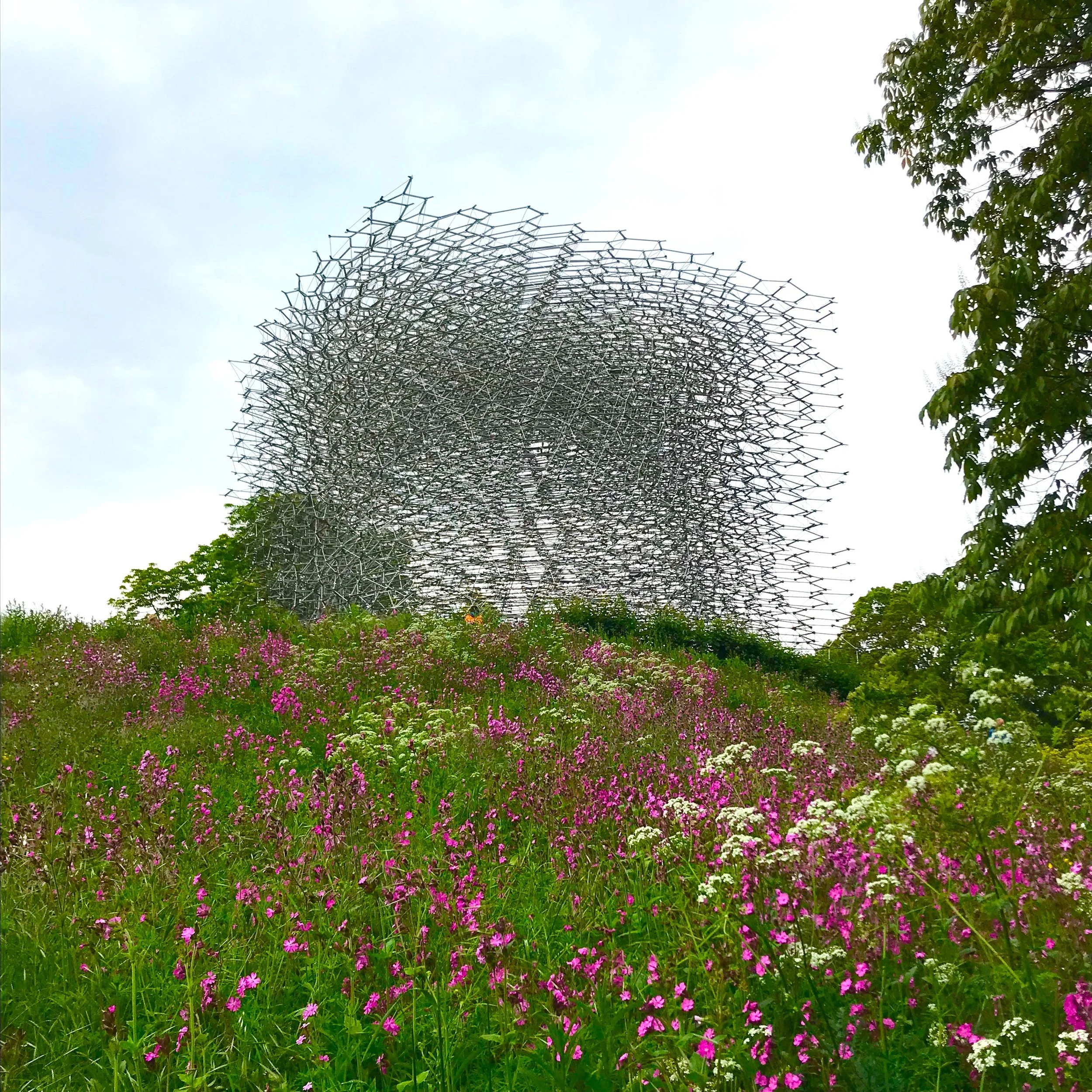 Why Kew Gardens is such a great day out for the whole family