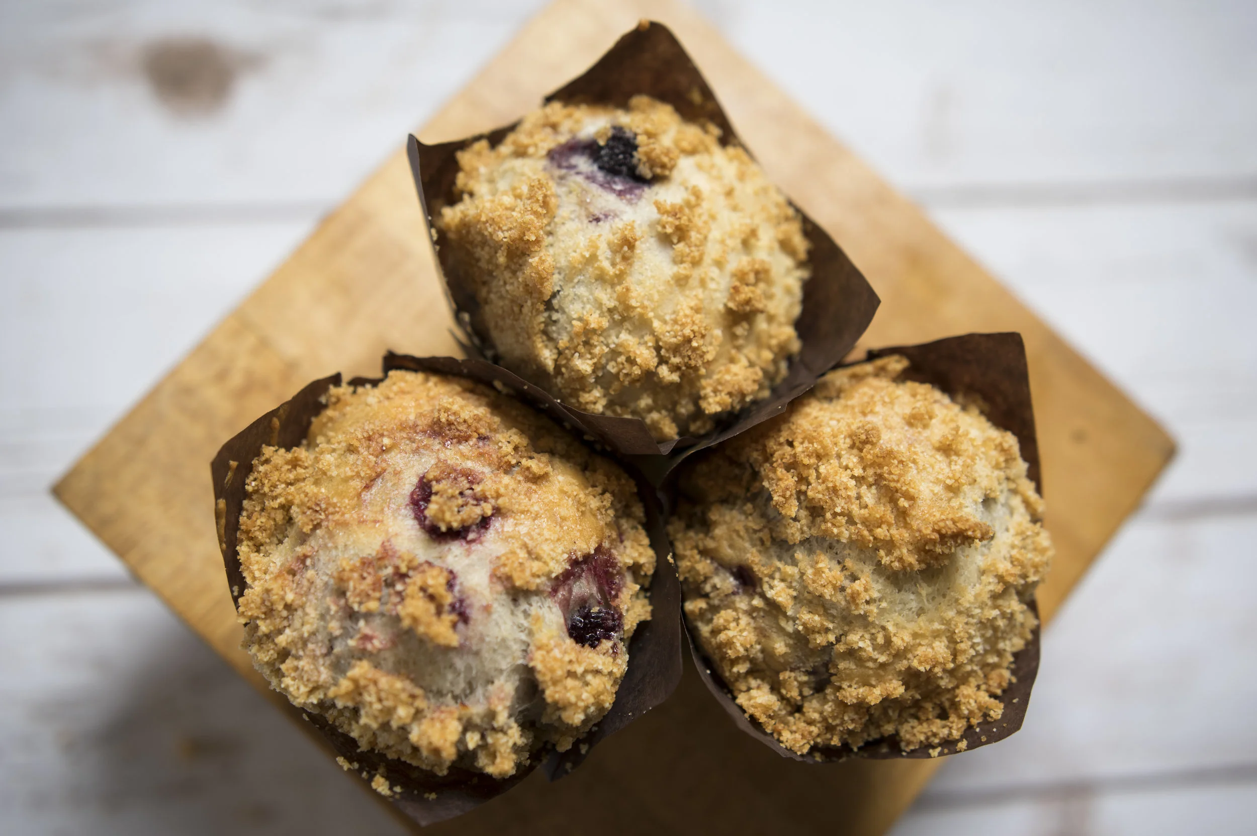 Muffin1.jpg