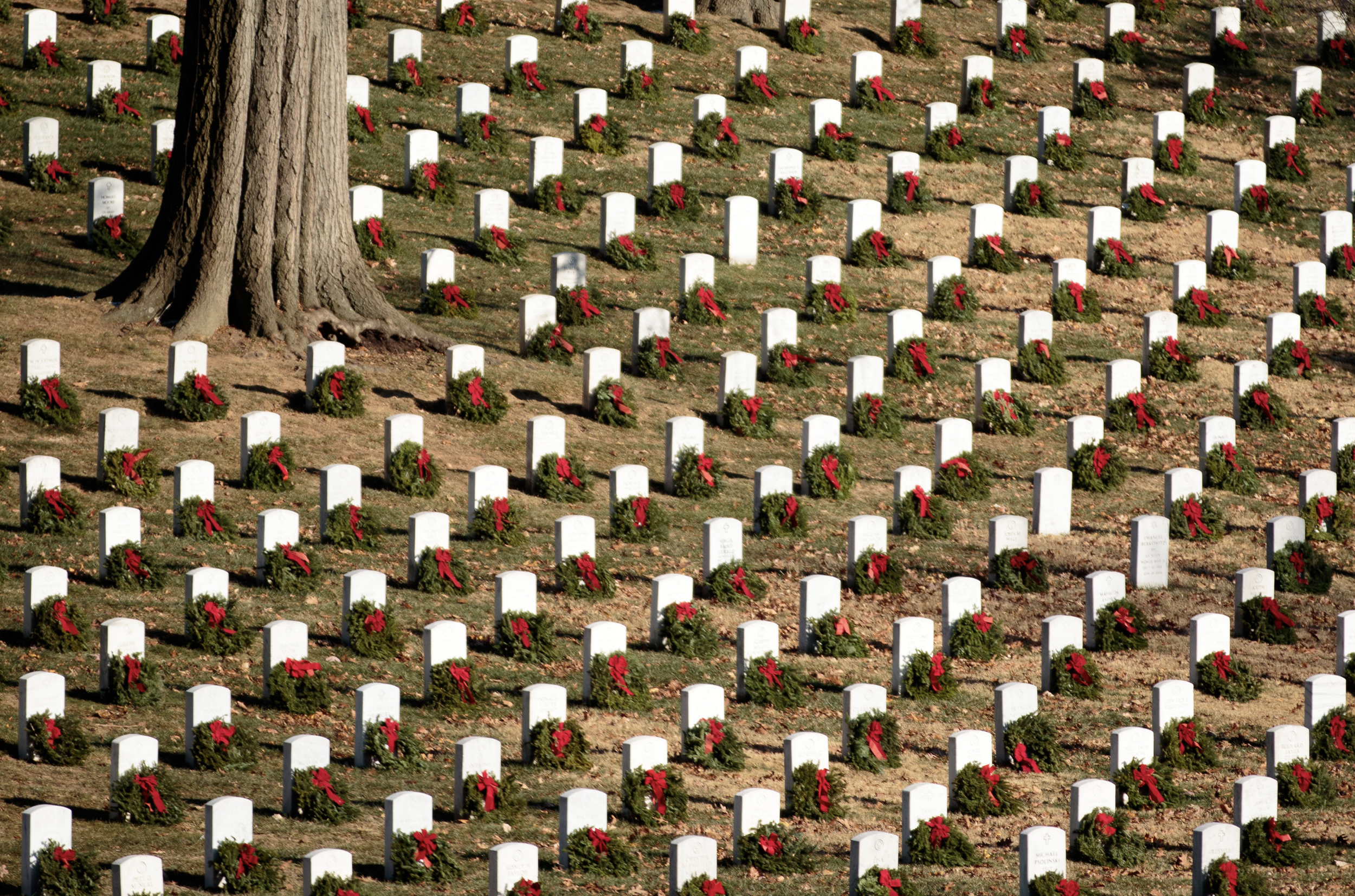 Screen Shot 2023-03-04 at 2.49.38 PM.png