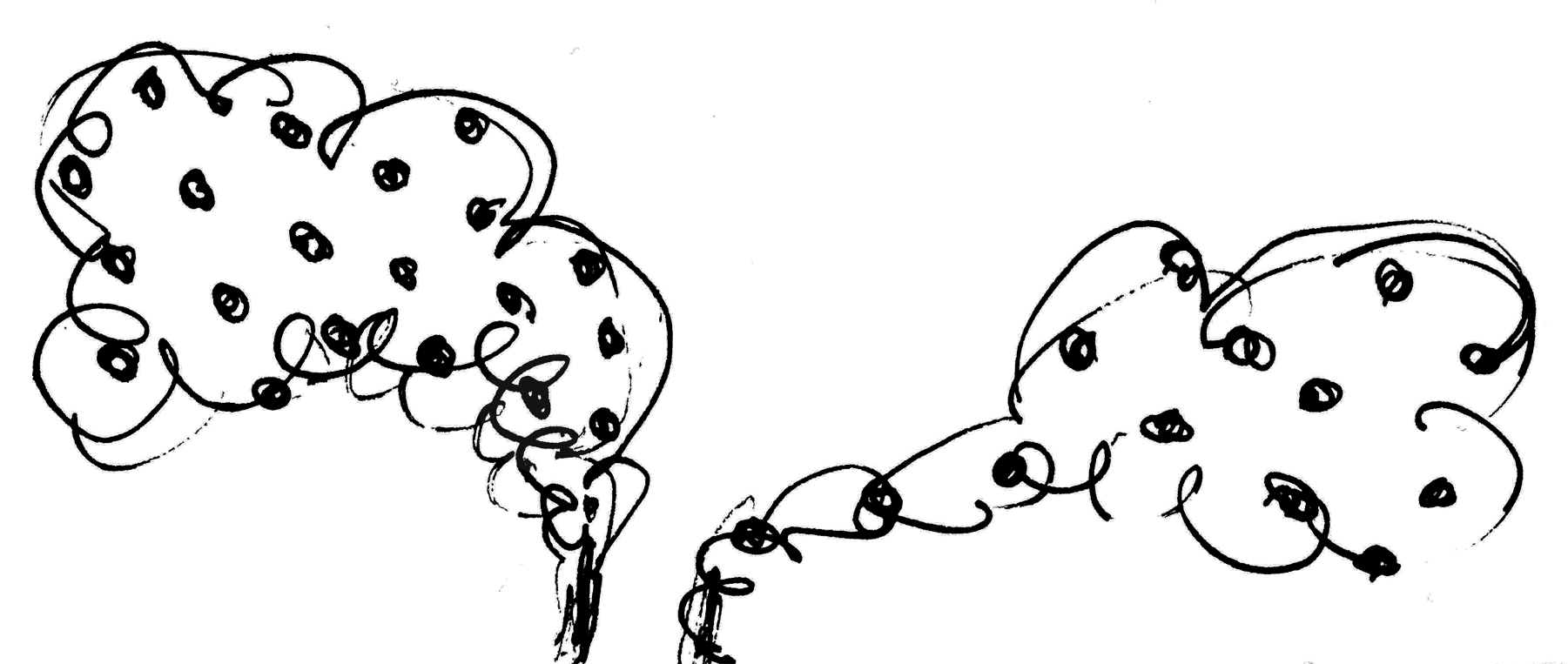DOC016 TRANSPARENT.png