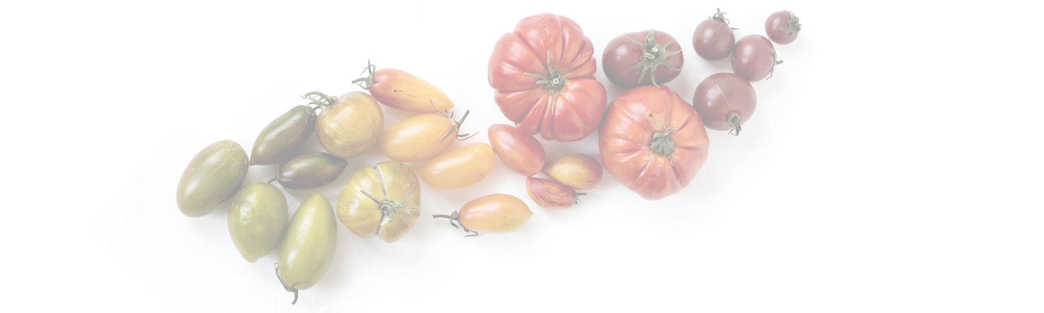 tomatoes-skyvalley.png