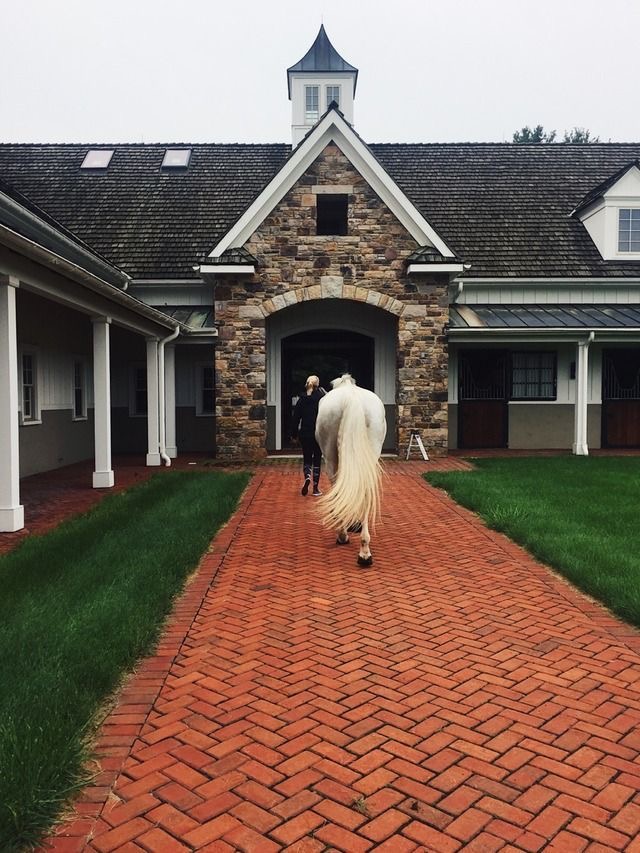 STABLE SECRETARY: Horse Care App Pioneer and Innovator