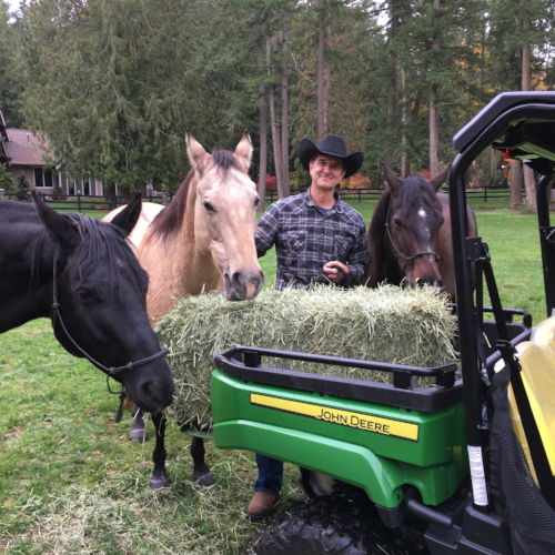 Patrick Husting, creator of The Equestrian app and his three Quarter Horses