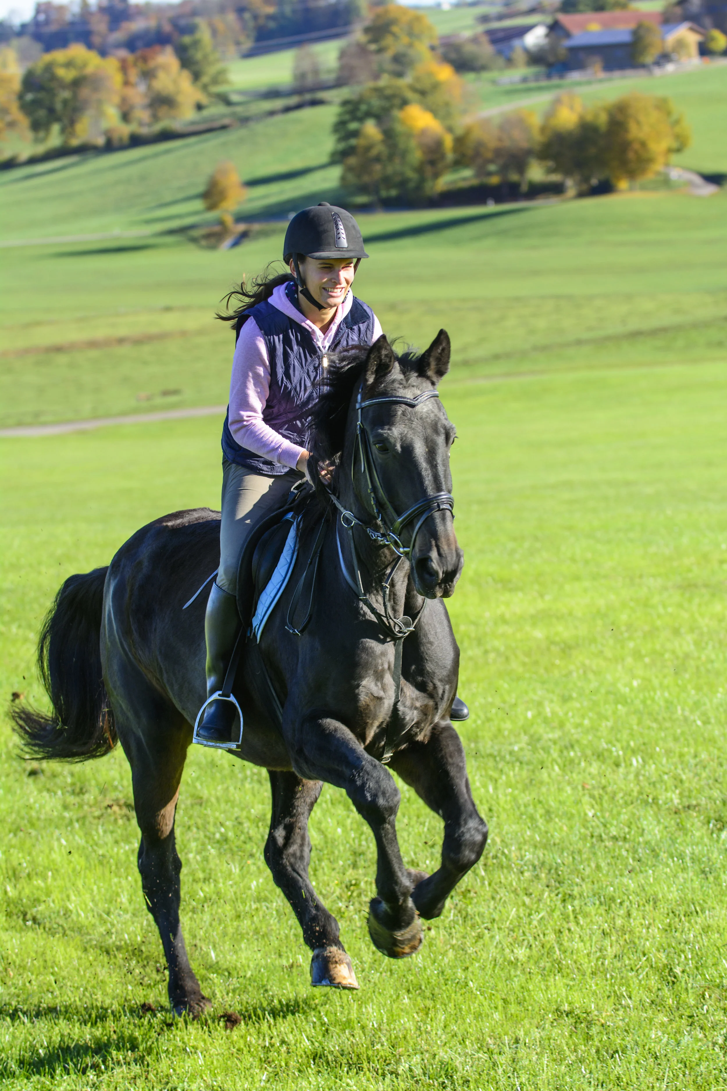 THE EQUESTRIAN APP: Delivering a Robust Horse Care and Community App for the Horse World