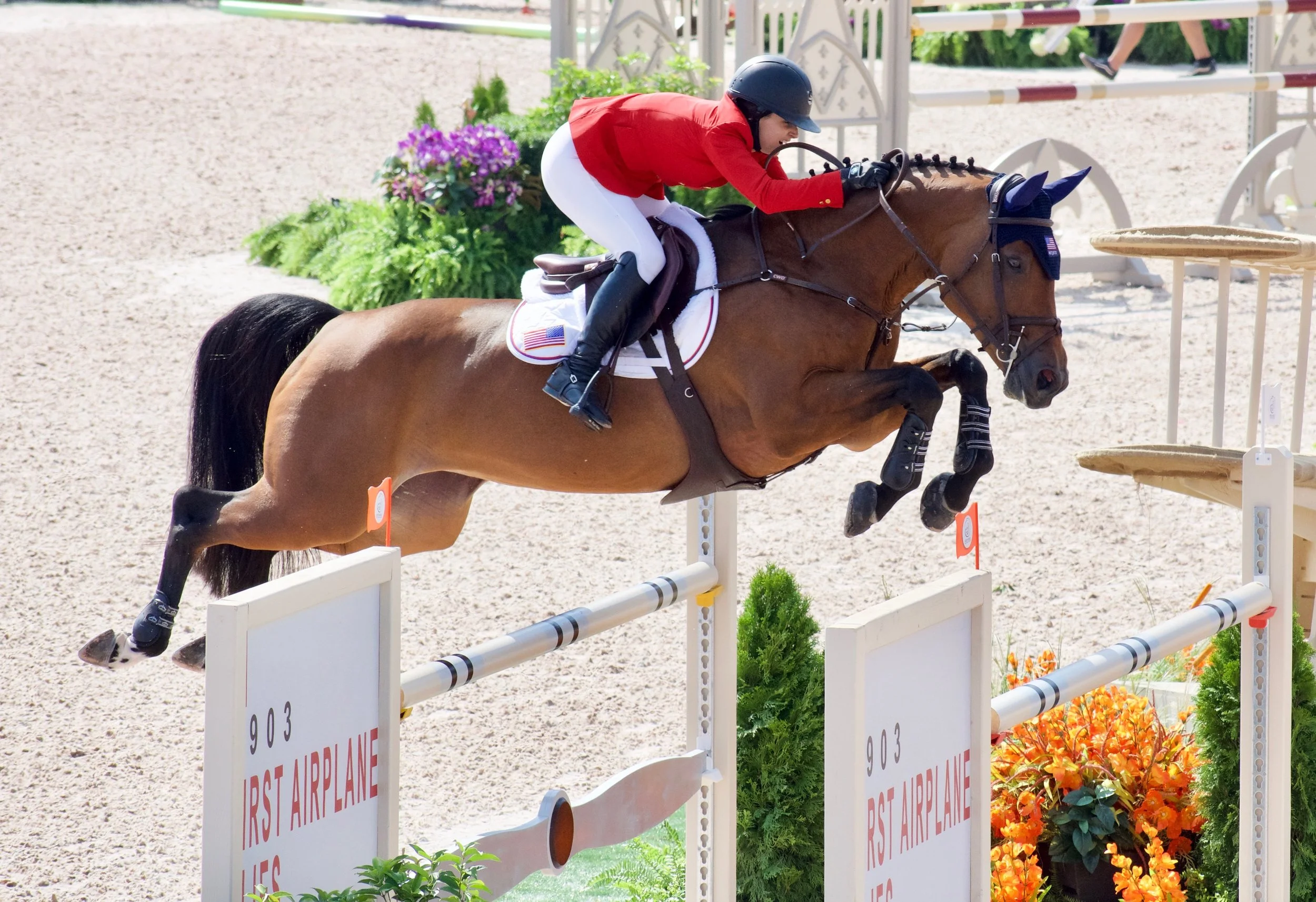 Adrienne and her beloved mare Cristalline fly over the final fence in the final round of jumping competition on Friday.