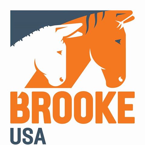 BrookeUSA.jpg