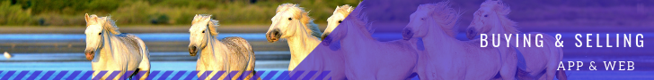 BuyingandSelling.png