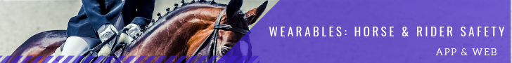 Wearables_horseandridersafety.png