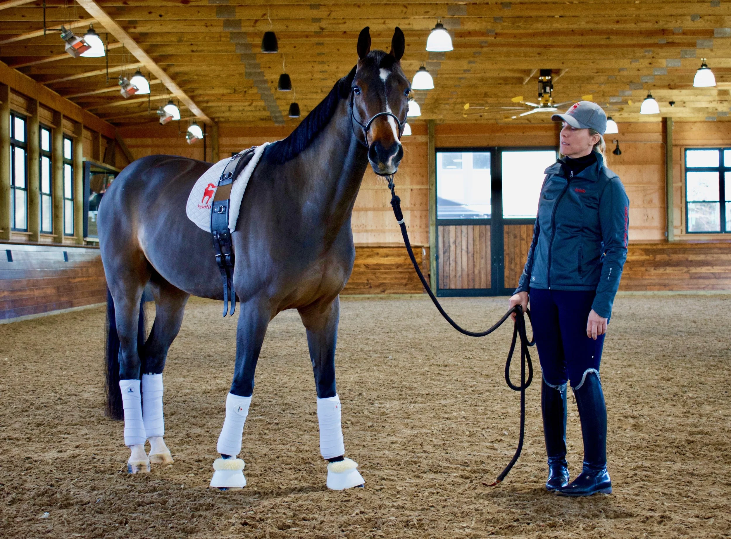 “For me Hylofit provides the data behind what my horse is actually thinking and what is actually happening with his body and allows me to confirm that maybe what I was thinking was right or oh, what I was thinking was the opposite. The intelligence I get now with Hylofit versus without is like night and day,” said Eliane with Fellow , her horse of one year.