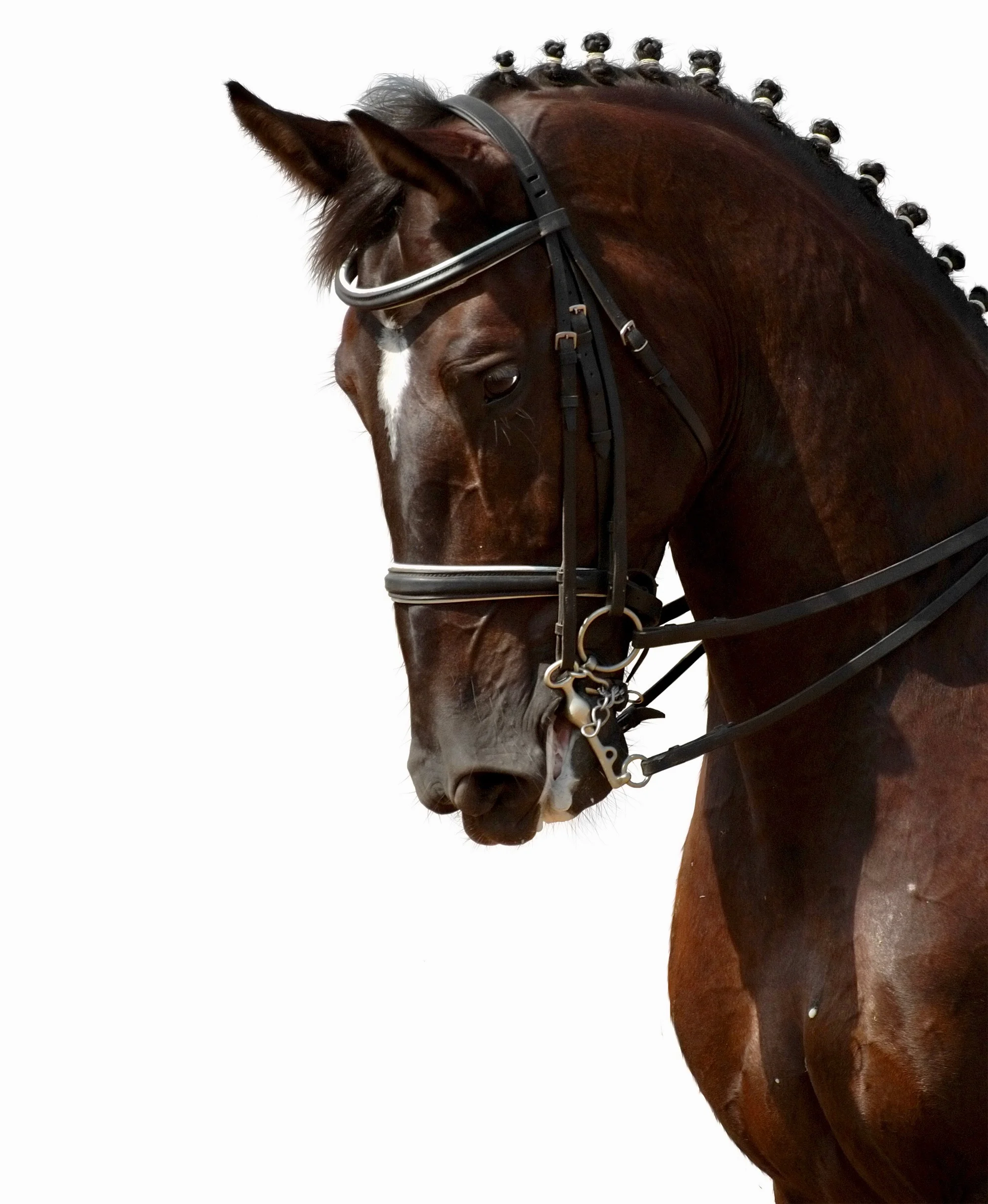 SEAVER: The Next Generation of Performance &amp; Health Measurement