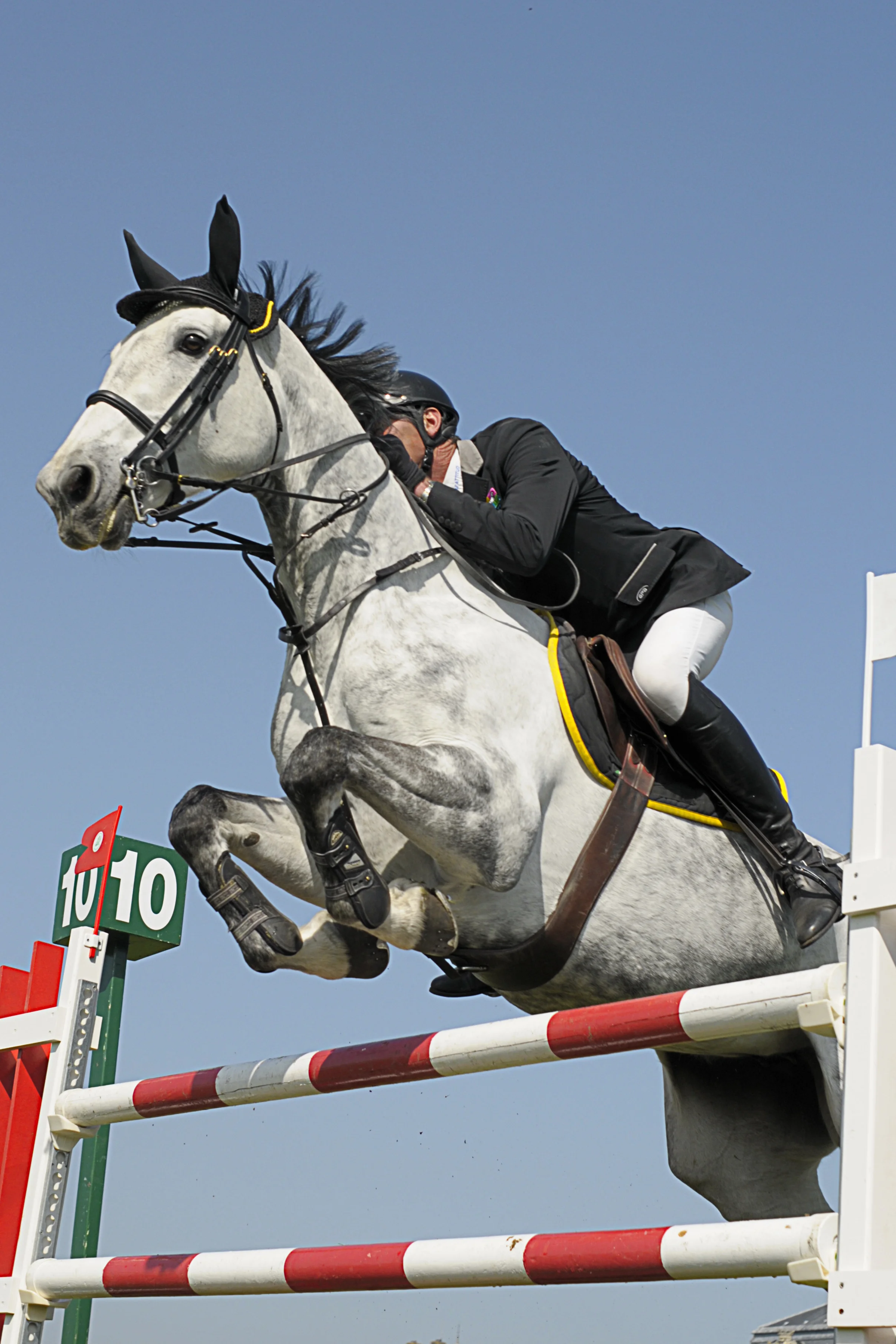 STEED: One Device, Multiple Solutions