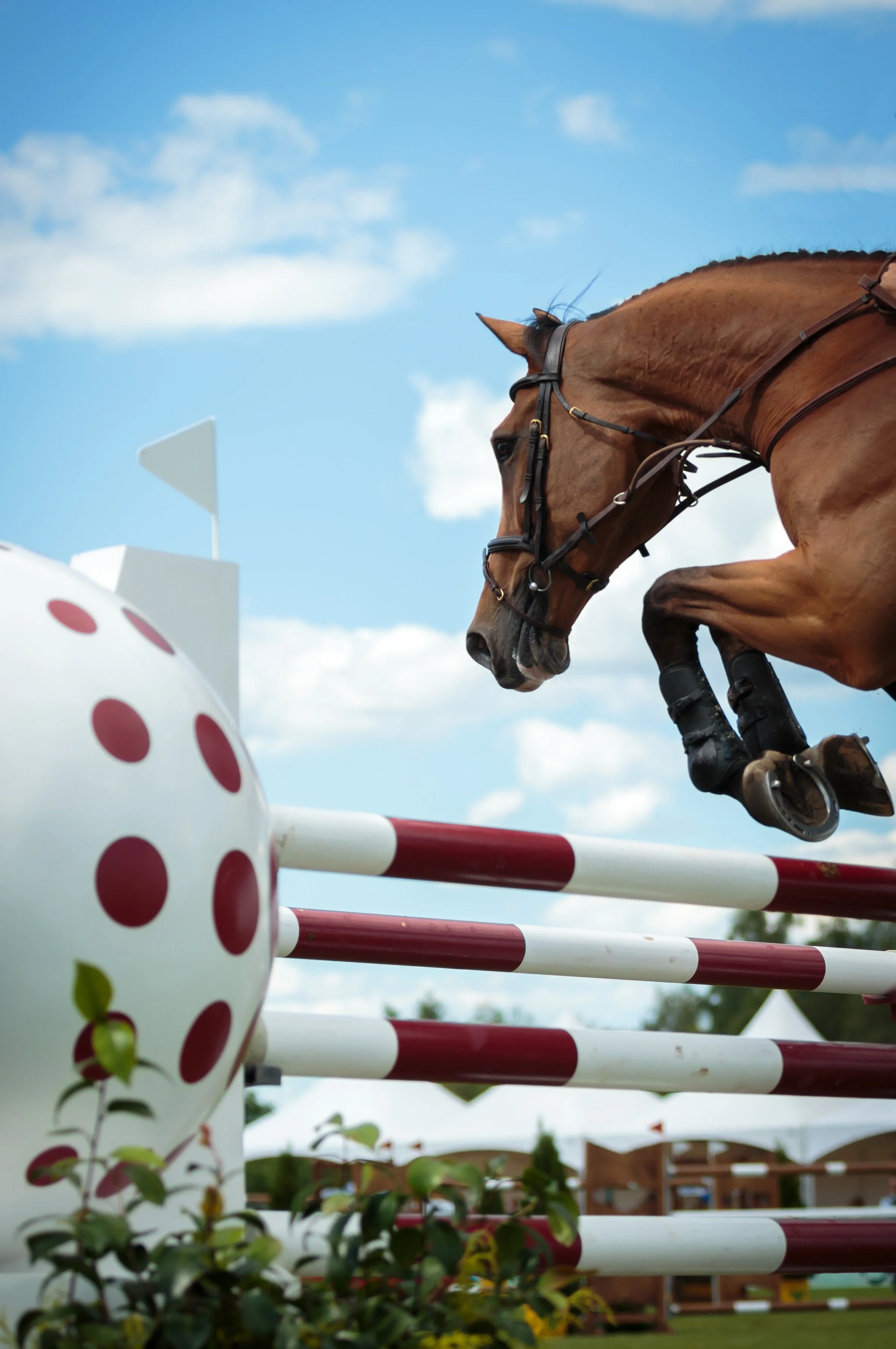 TTE Advisory Board: The Data Dilemma