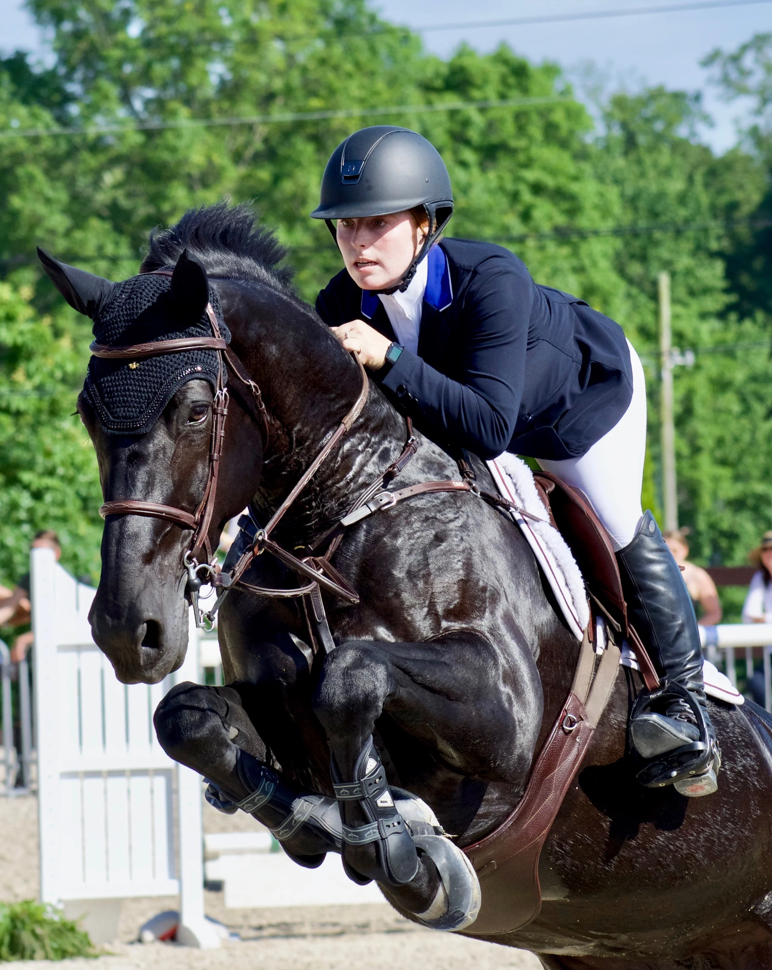 TTE Advisory Board: How Integration Will Shape the Future of Horse Tech