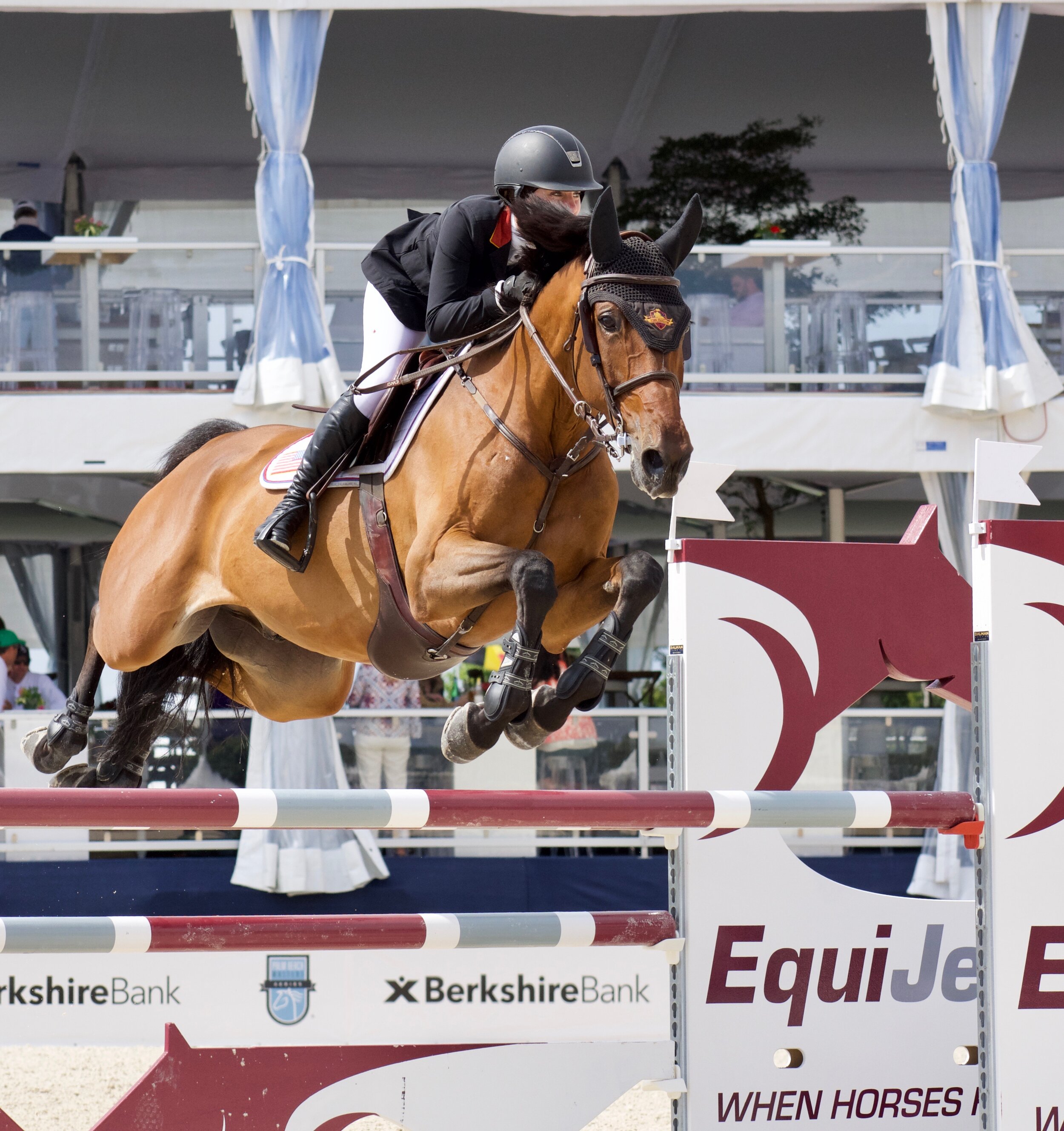 Most Popular TTE Advisory Board Posts in 2019