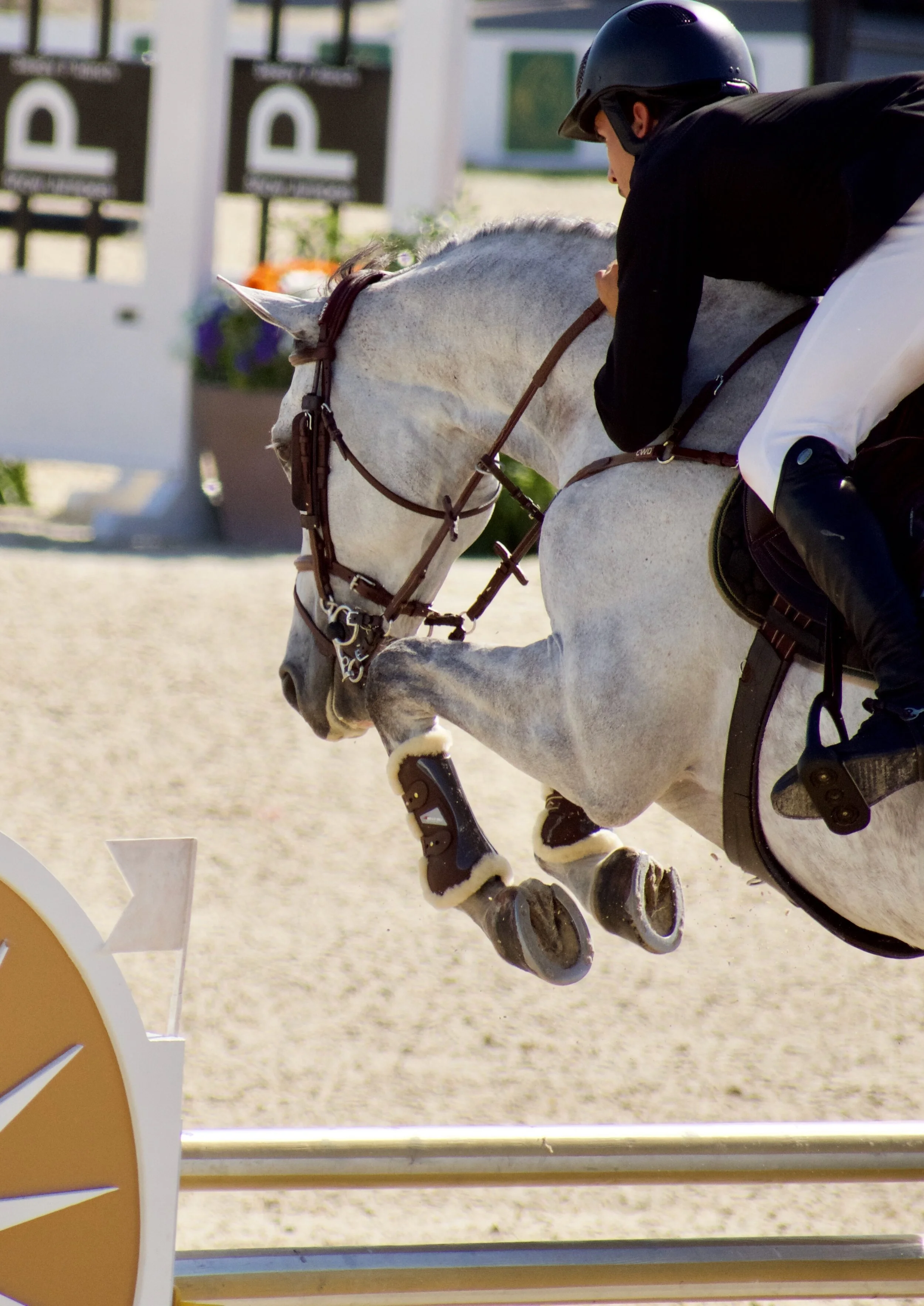 eWaivers: Say Goodbye to Paperwork – Going Digital is a Dream