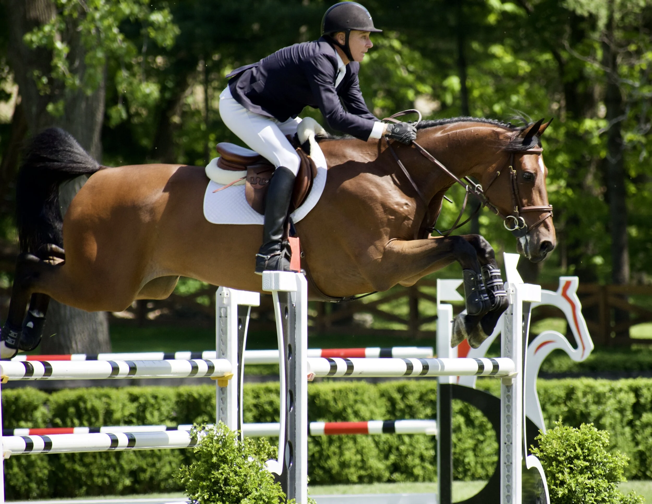 TTE ADVISORY BOARD: Horse Tech Takeaways from 2020