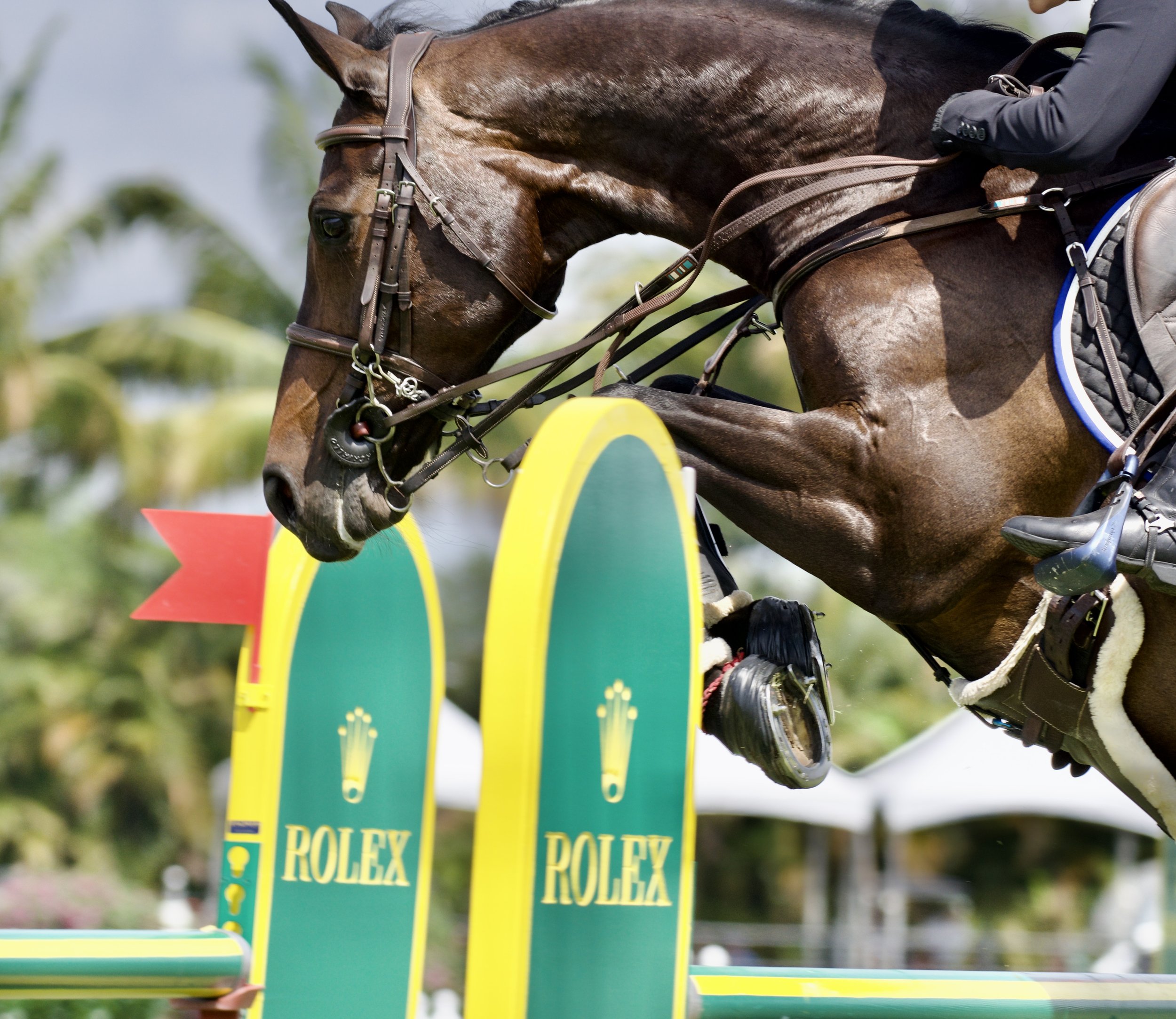 Power pony - Bond's Korra flying over the final Rolex obstacle