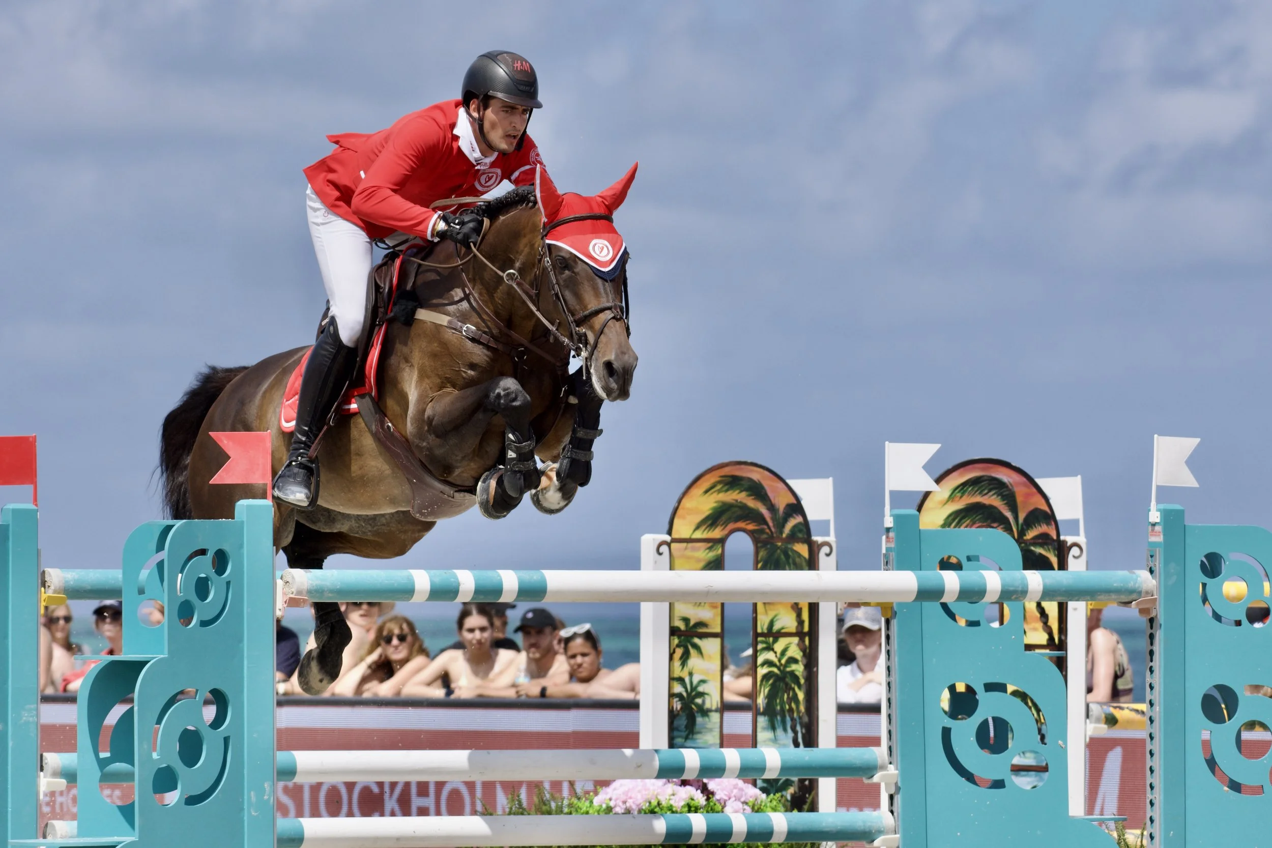 EQUESTIC SaddleClip – Perform with Care