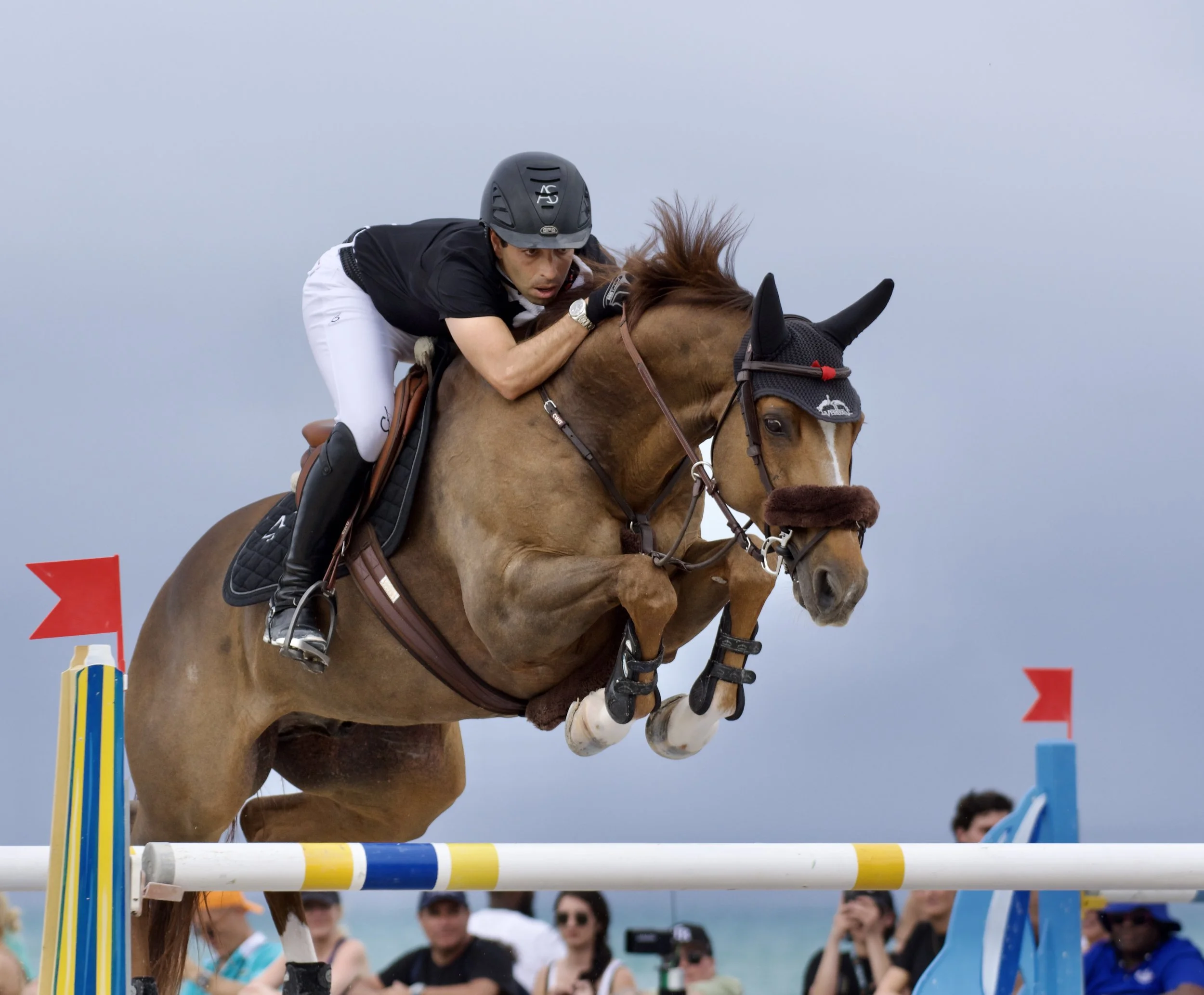 Guide to Equestrian Watches