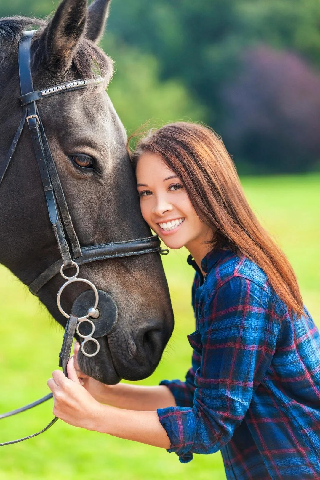 INSTAGROOMS: Modernizing the Service Needs of the Horse Industry