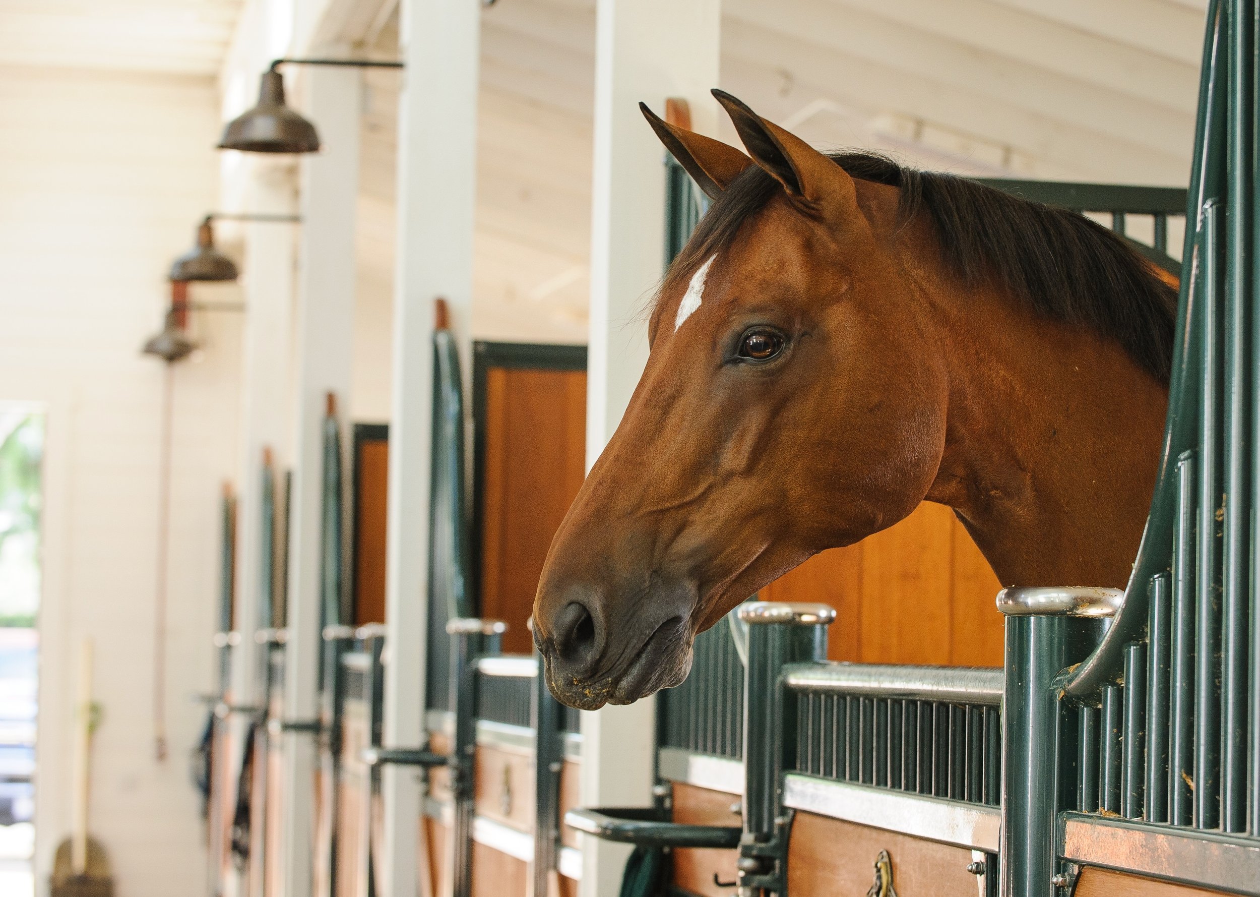 EQUIHUB: The Next Generation of Stable Management