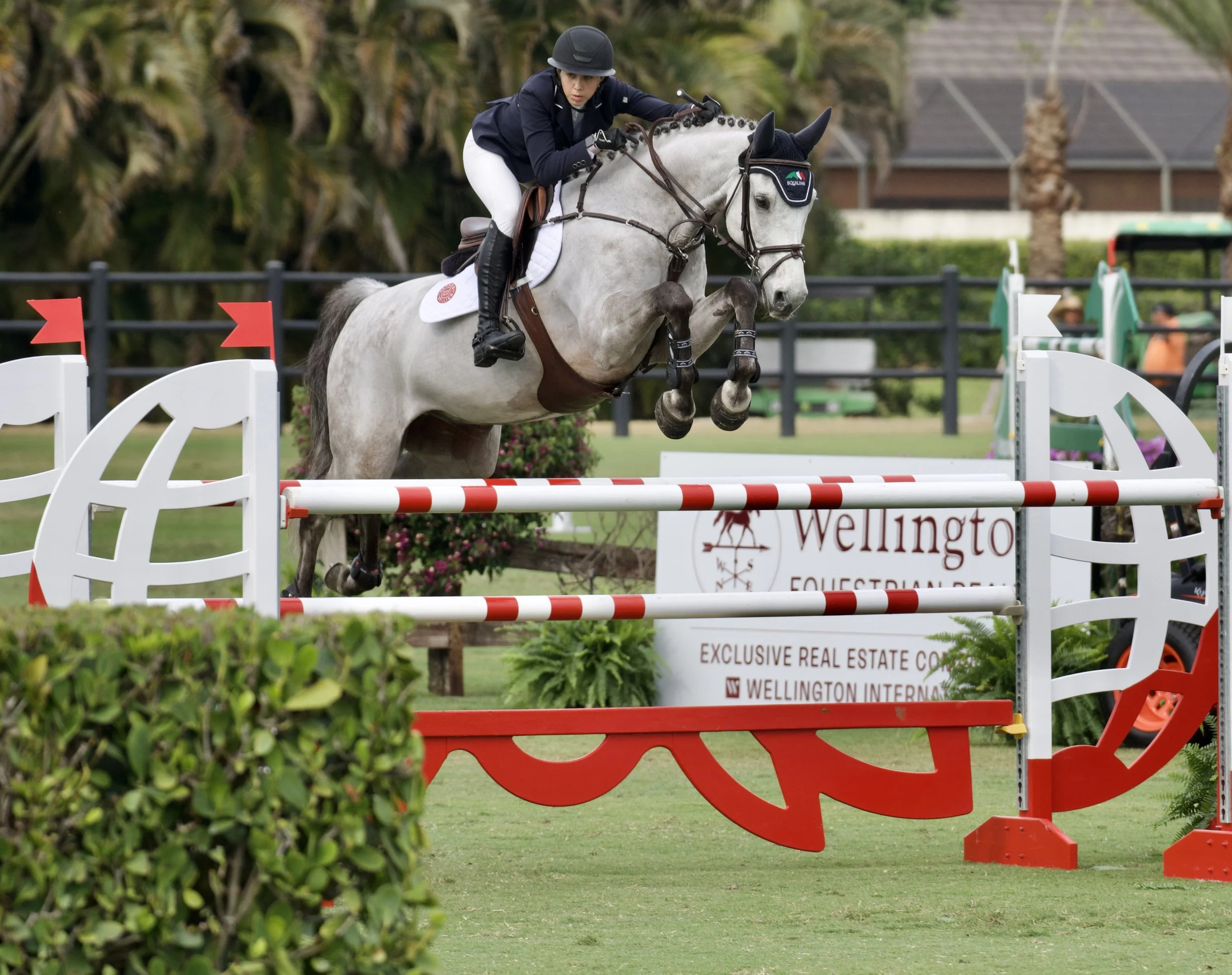 ELITE EQUINE MARKETPLACE: The Modern Marketplace for the Hunter Jumper World