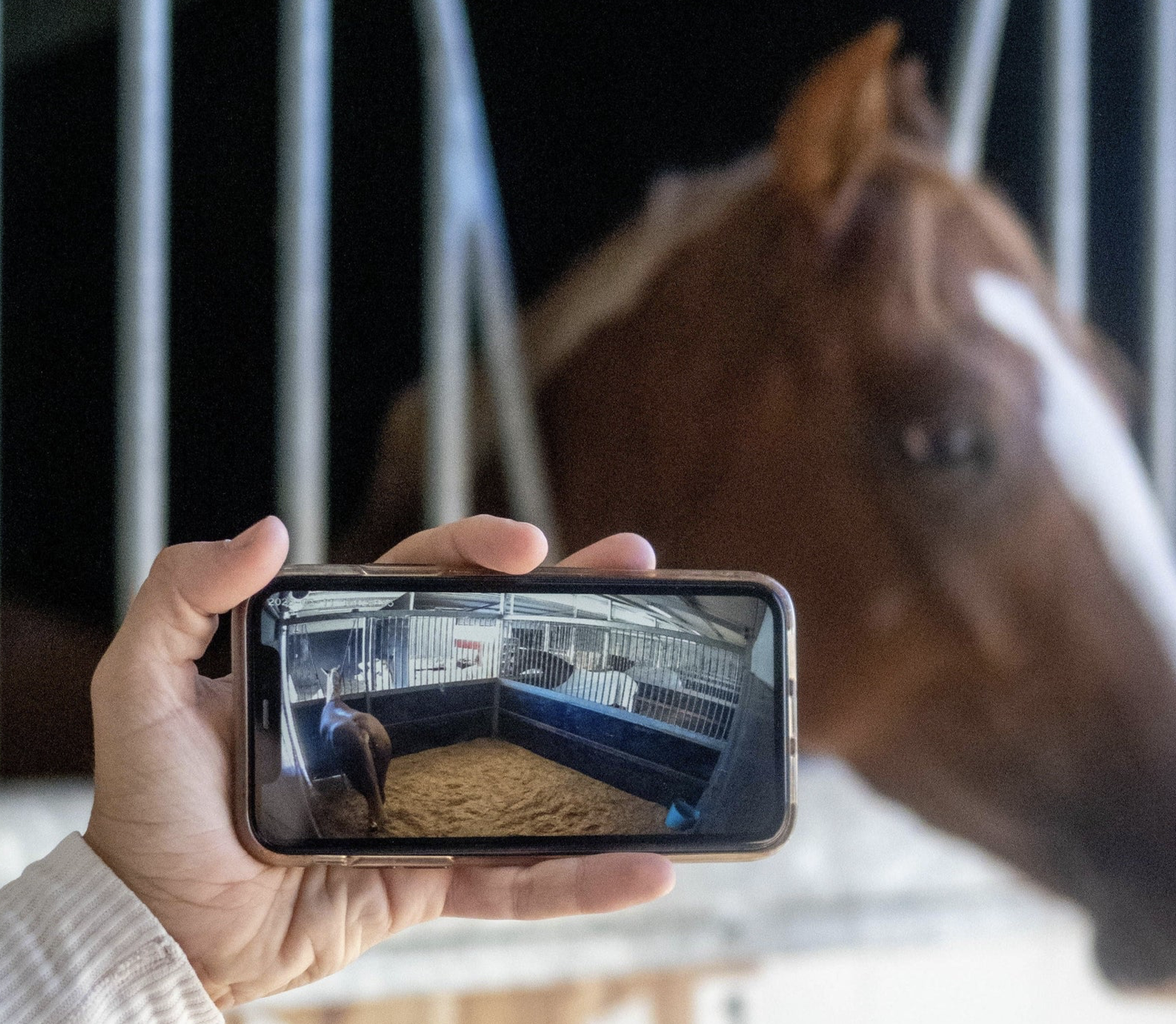 EQUINE EYE: Revolutionizing Horse Monitoring for Safety and Peace of Mind