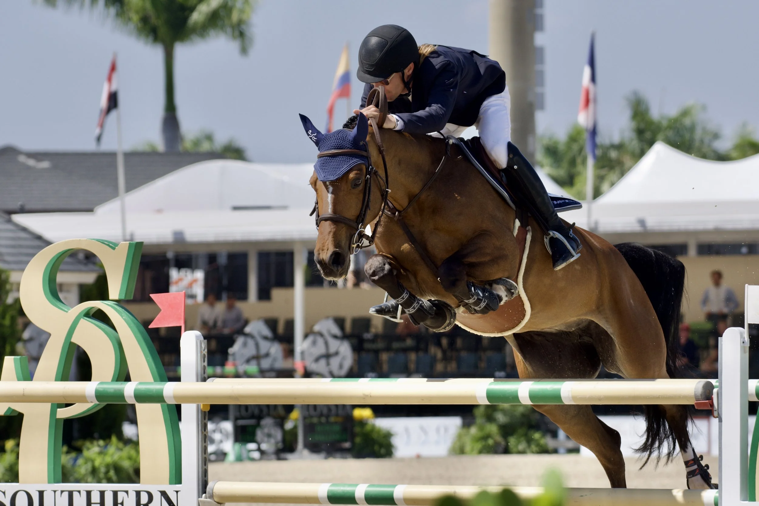 EQUISCORE: Enhancing Video for Training Purposes and Spectator Enjoyment