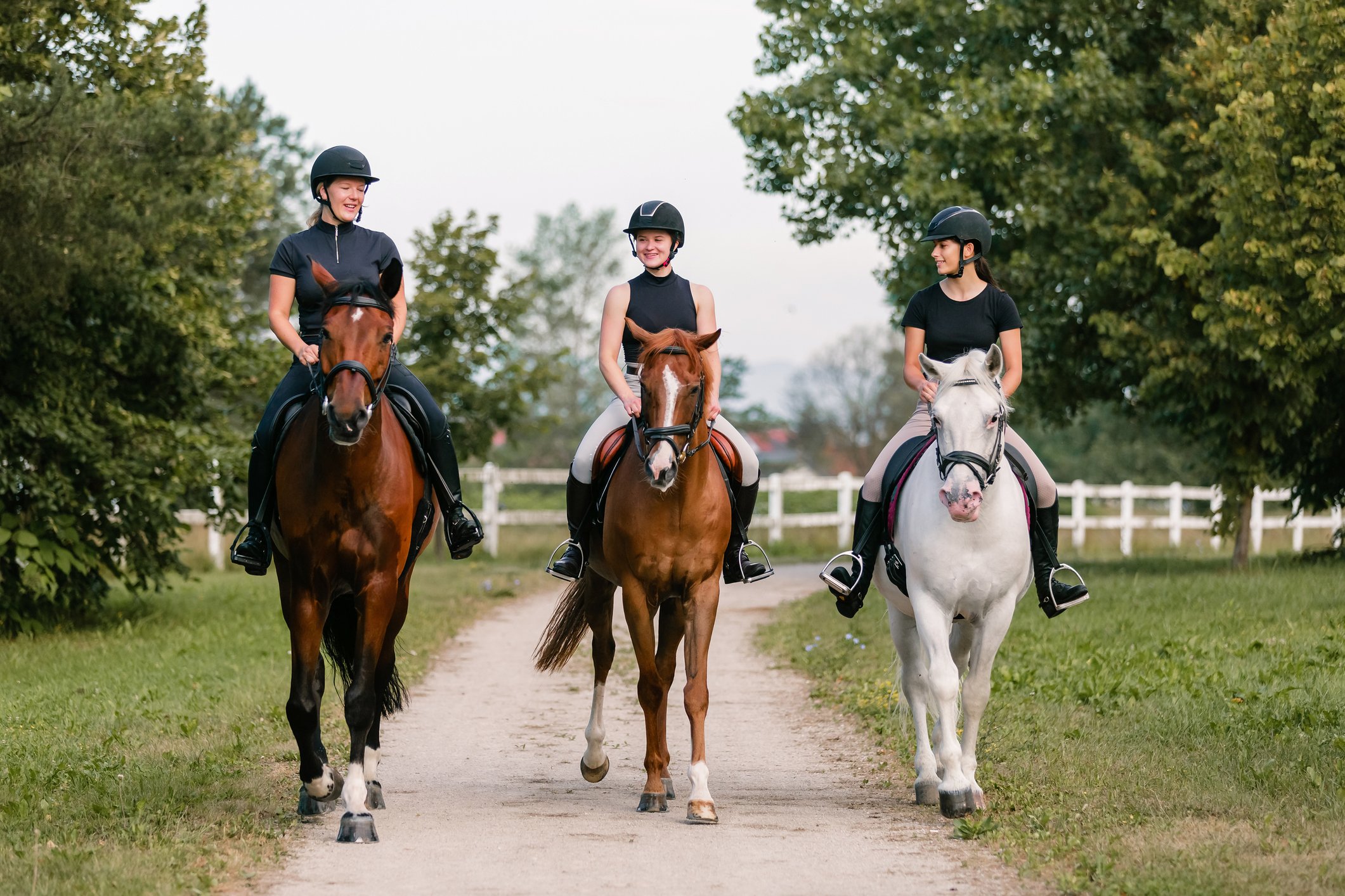 HOPOTI: Powering the Next Generation of Riding Schools 