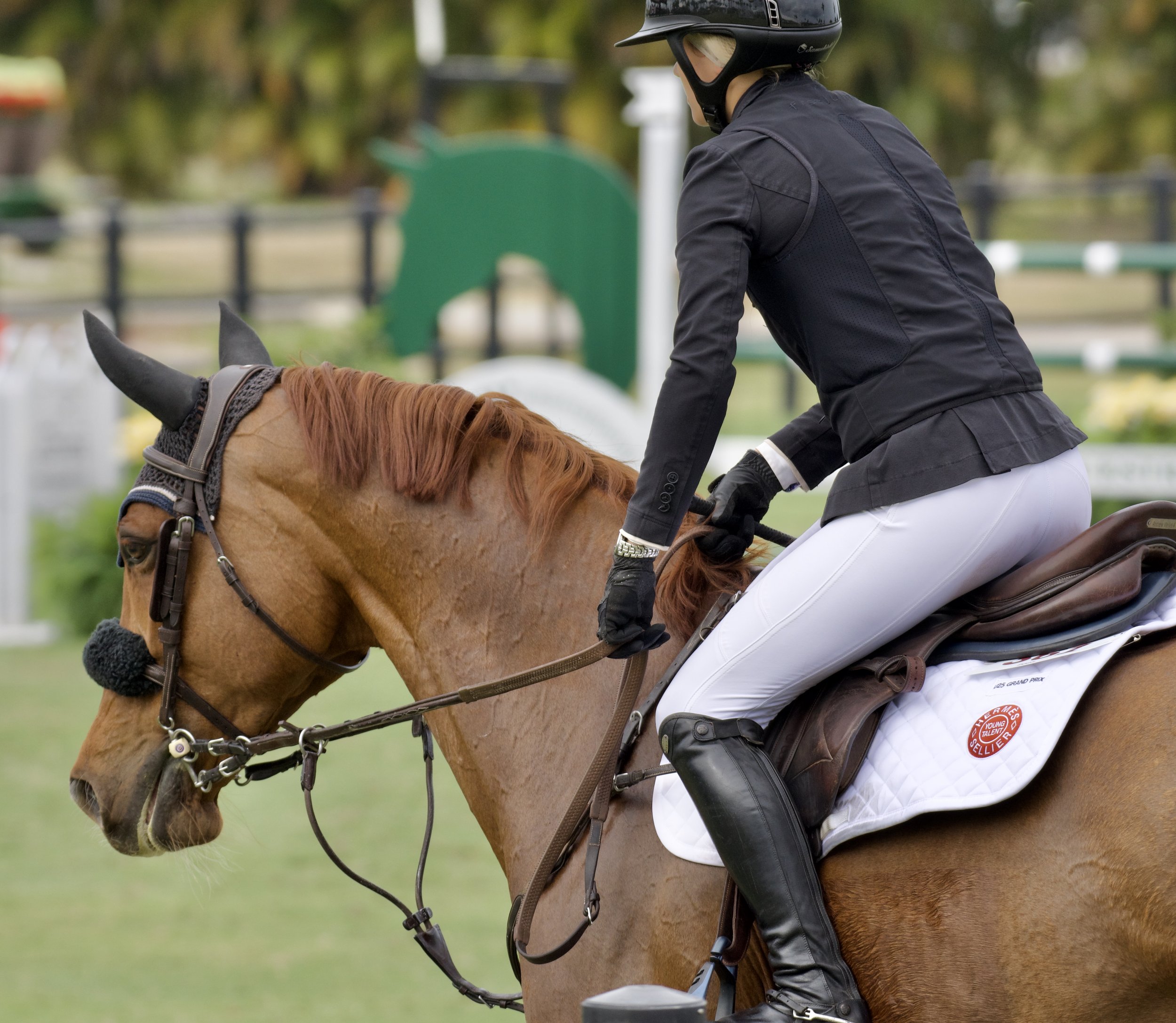 EQUILINK: The Digital Network for the Modern Rider