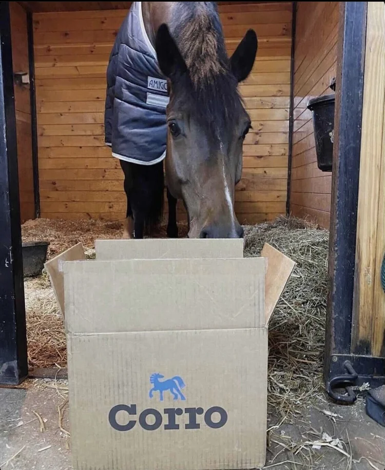 CORRO – The Equestrian Customer is King