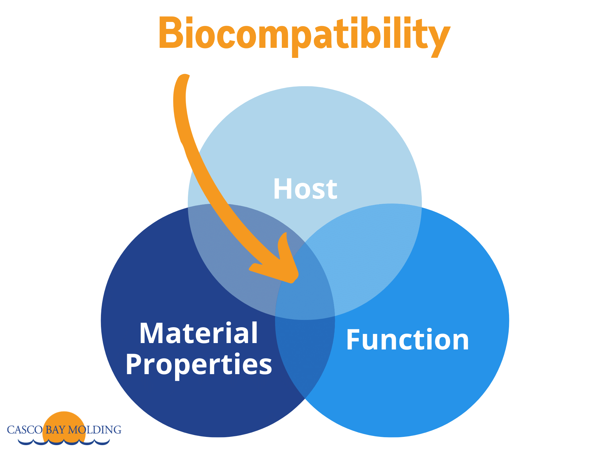 生物相容性有三个部分：材料属性，设备功能和主机内的位置。