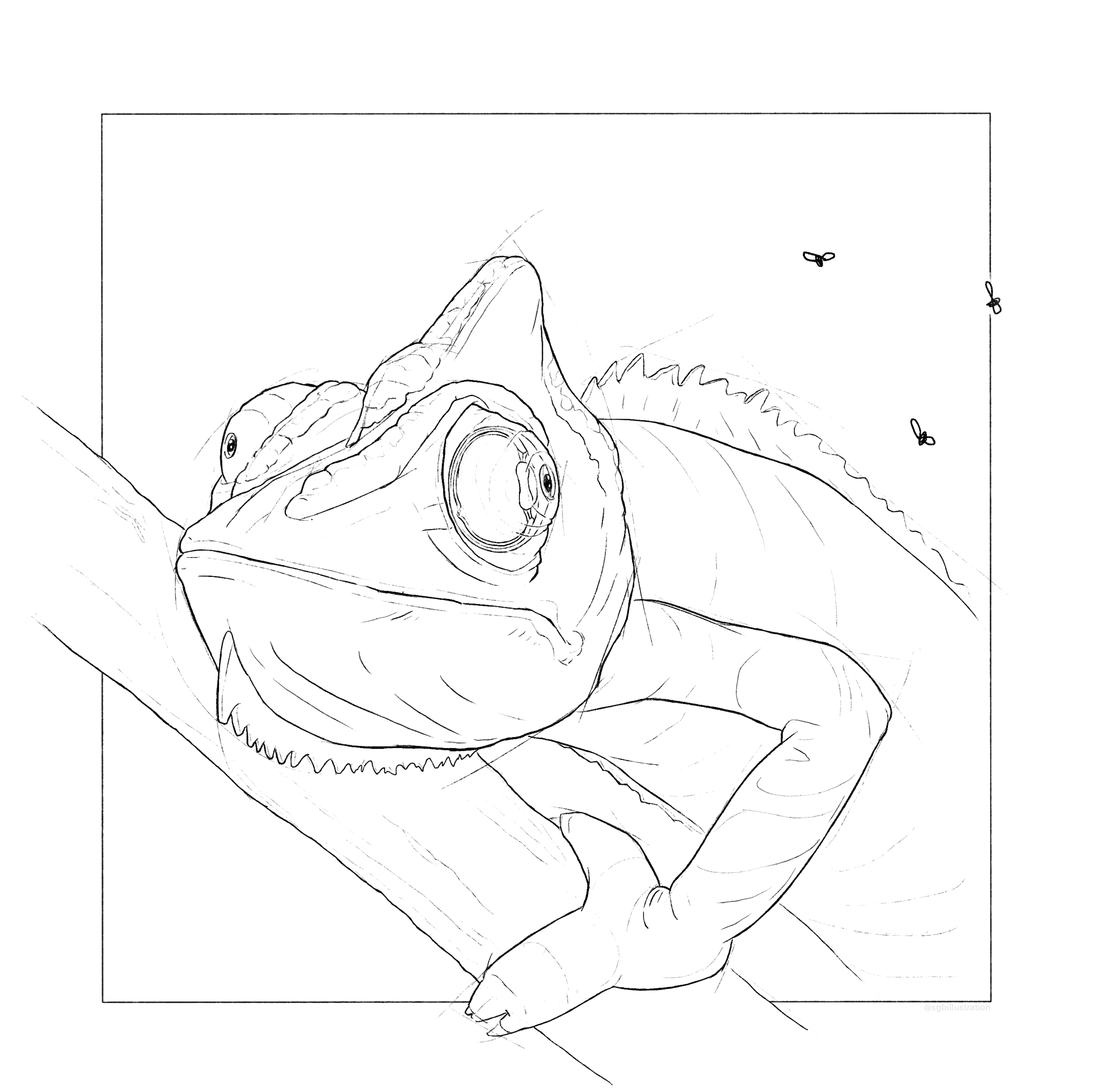 Eye final 01.png