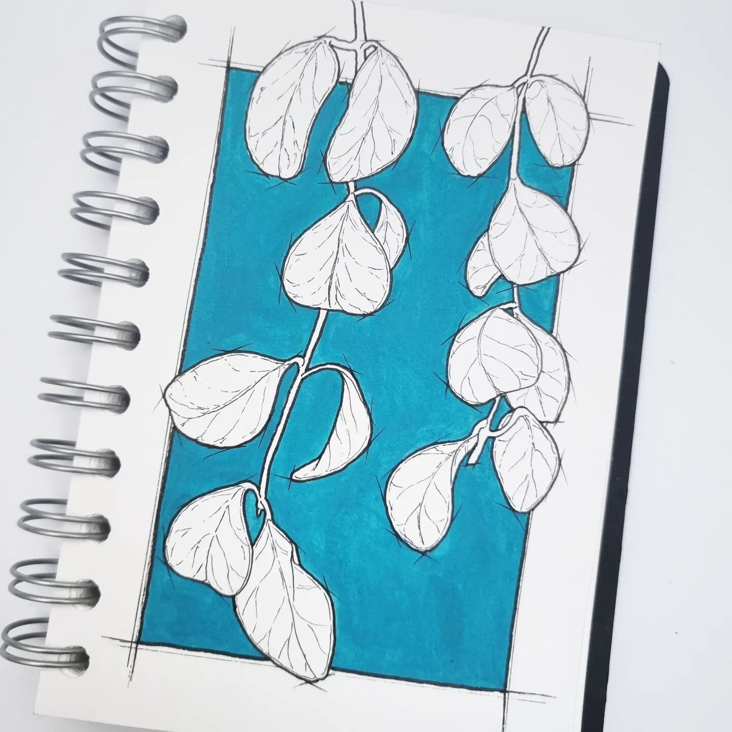 Houseplant sketch and trying out some more inks.

India ink &amp; fineliner on cartridge paper, coloured acrylic ink by @dalerrowney1783 

.
#sciart #ink #inkillustration #sketchbook #acrylicink #inksketch #finelinerart #penandinkdrawing #indiaink #s
