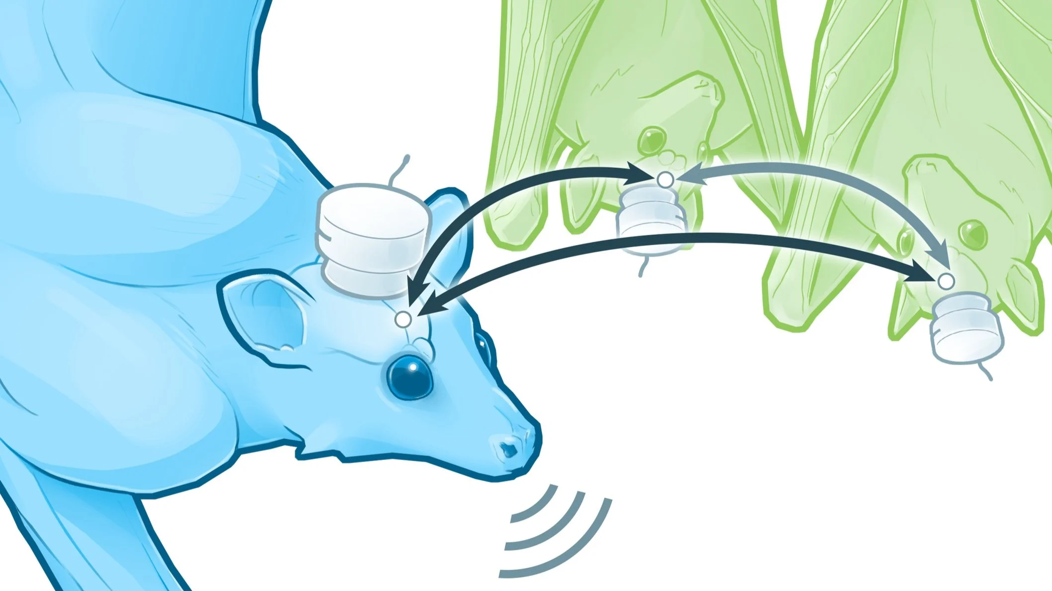 Scientific American: Brain Synchrony