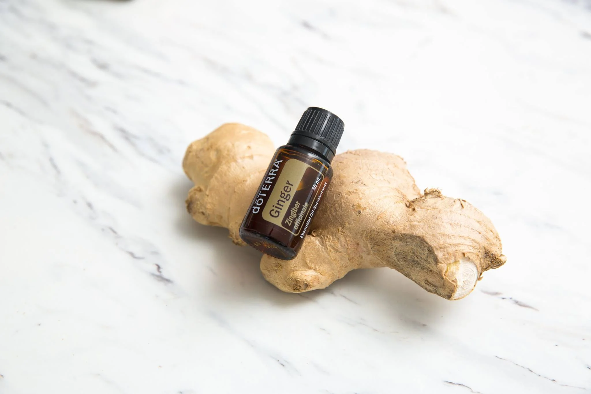 Ginger EO.jpg