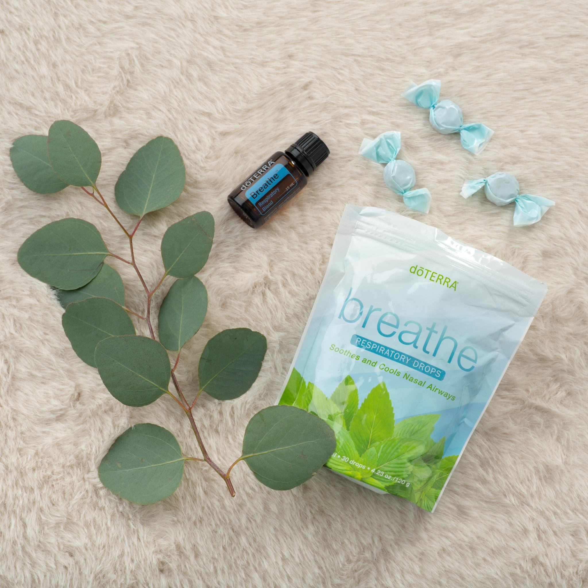 Drops and Eucalyptus.jpg