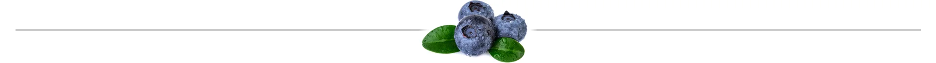 blueberrydivider.jpg