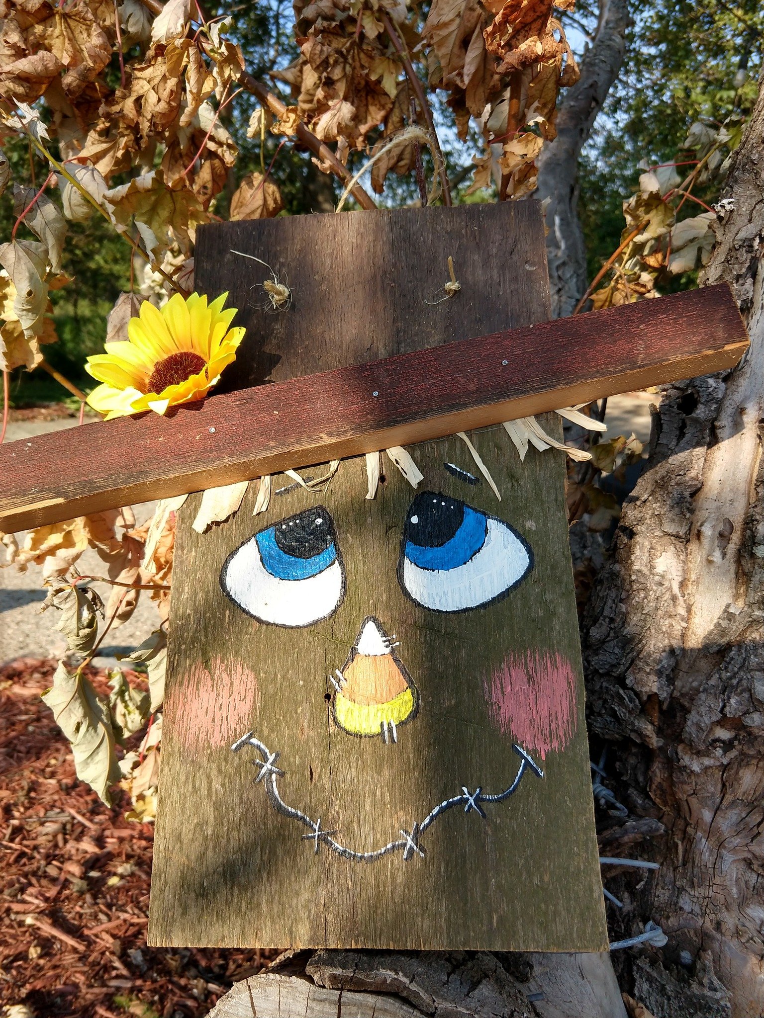 17 - Barnboard Scarecrow