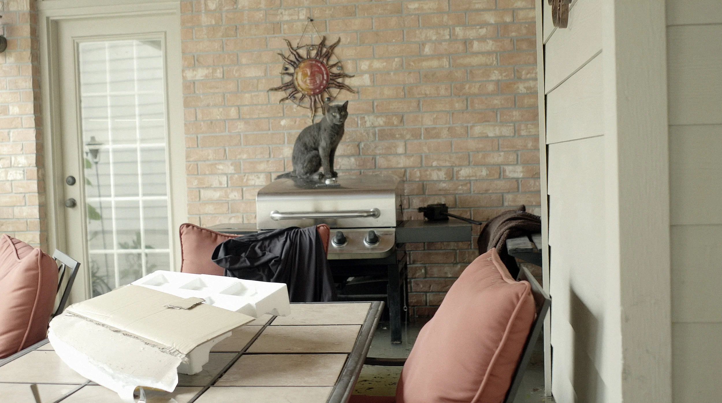 A frame grab of the cat on the barbecue.