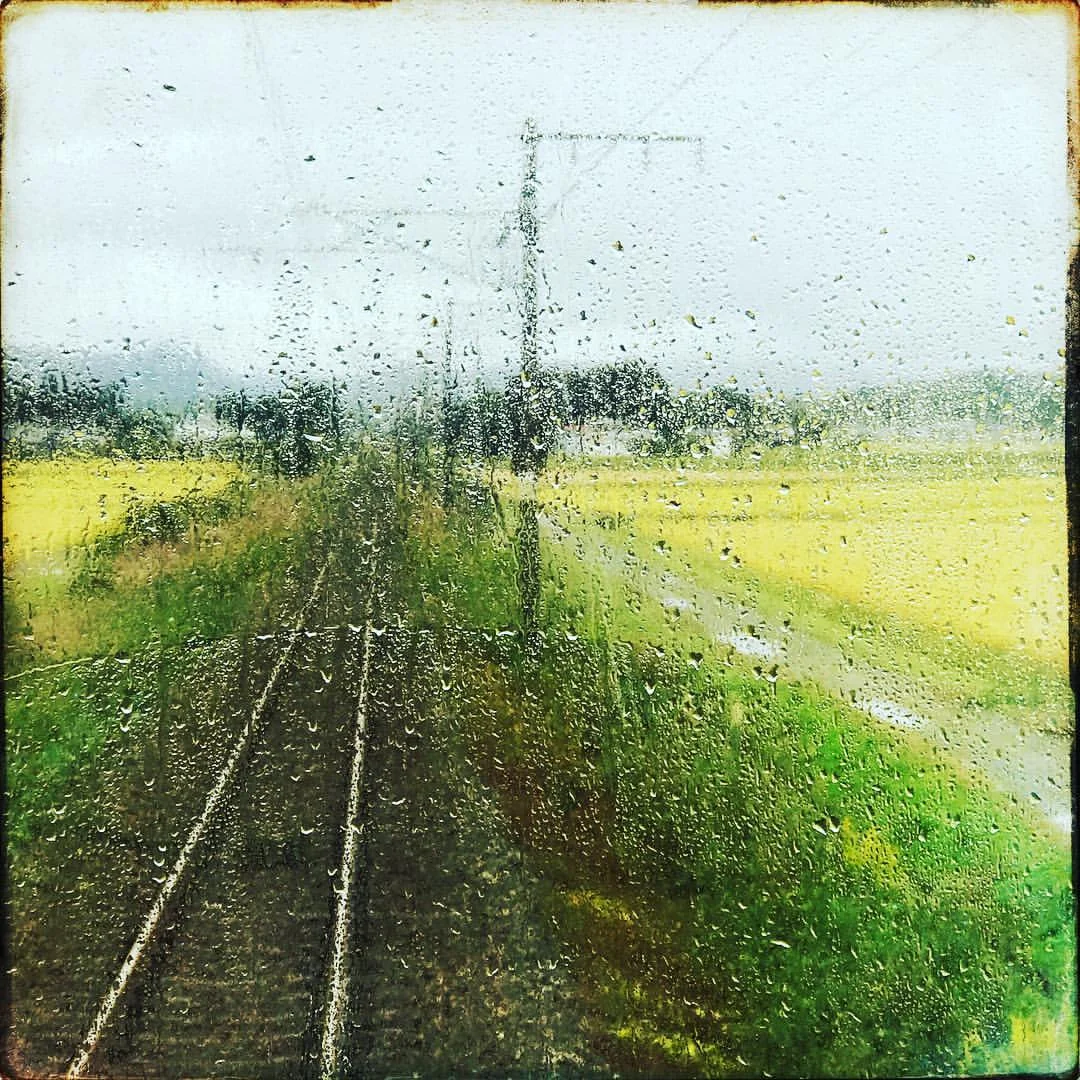 October 7, 2017 And just to take a breath for a moment it's great to ride this train between #Odaka and #Natori . For the first time since 3/11 the railway is functioning. I love these small rural trains and I've wanted to ride this line for years. On a single track the small 2 car train passes by so much history here: small shrines in the forests that hug the tracks, rice fields bright yellow before harvest, mountains and streams the surround and pass underneath the tracks Forming interior arteries and heart of #Fukushima and #Miyagi -and now a vital link between friends, making people feel closer and a beautiful little part of this region that has endured so much right again. — in Soma-shi, Fukushima, Japan .