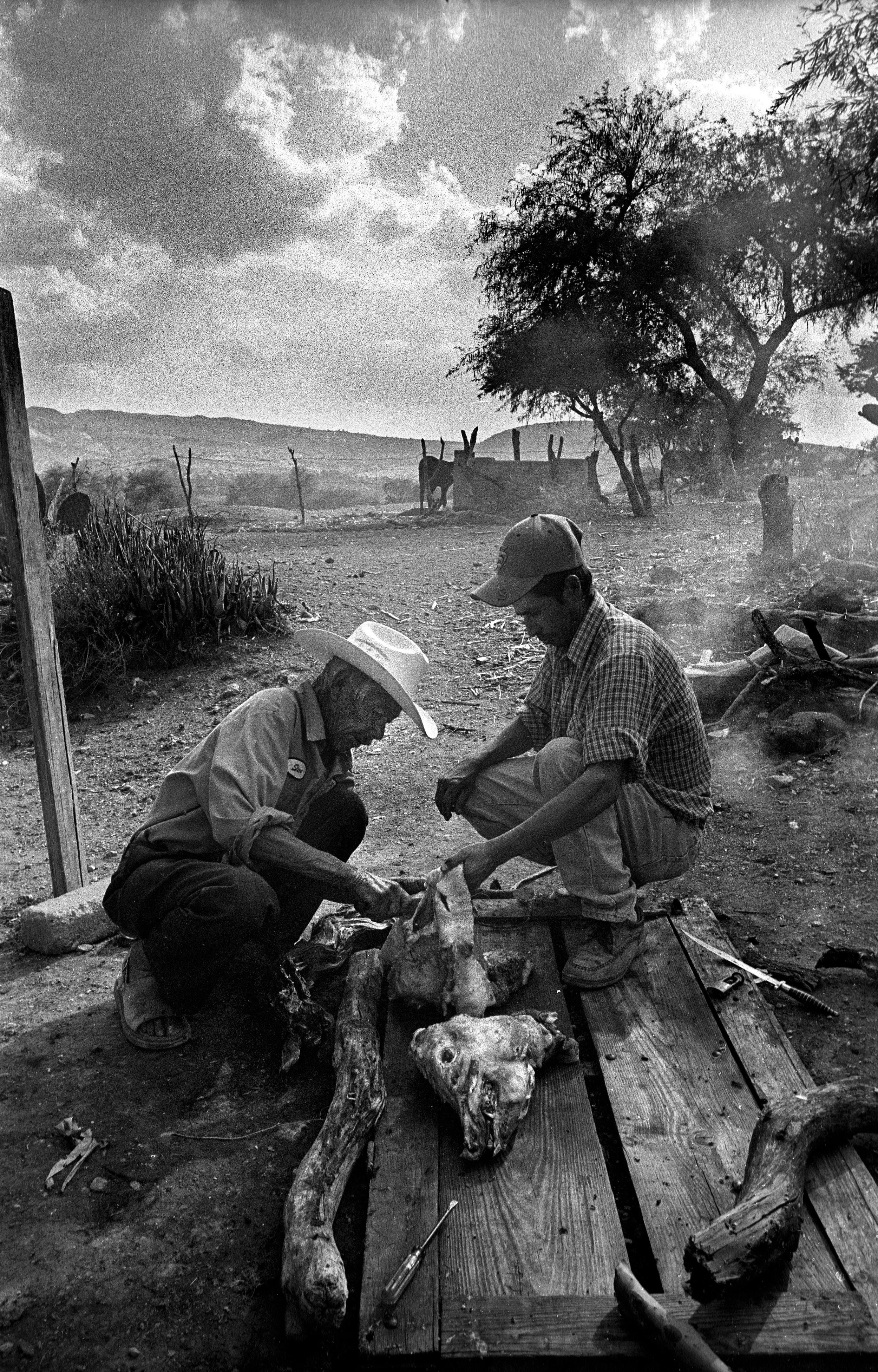 Cipriano and his father take apart a pig before roasting it.