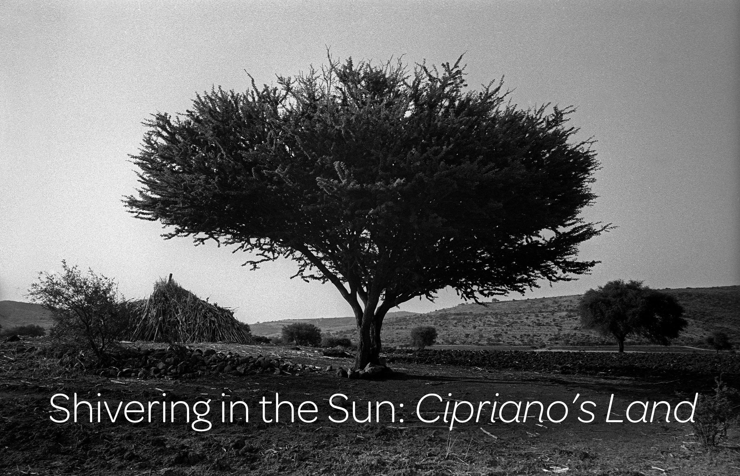 Ciprianos land title.jpg