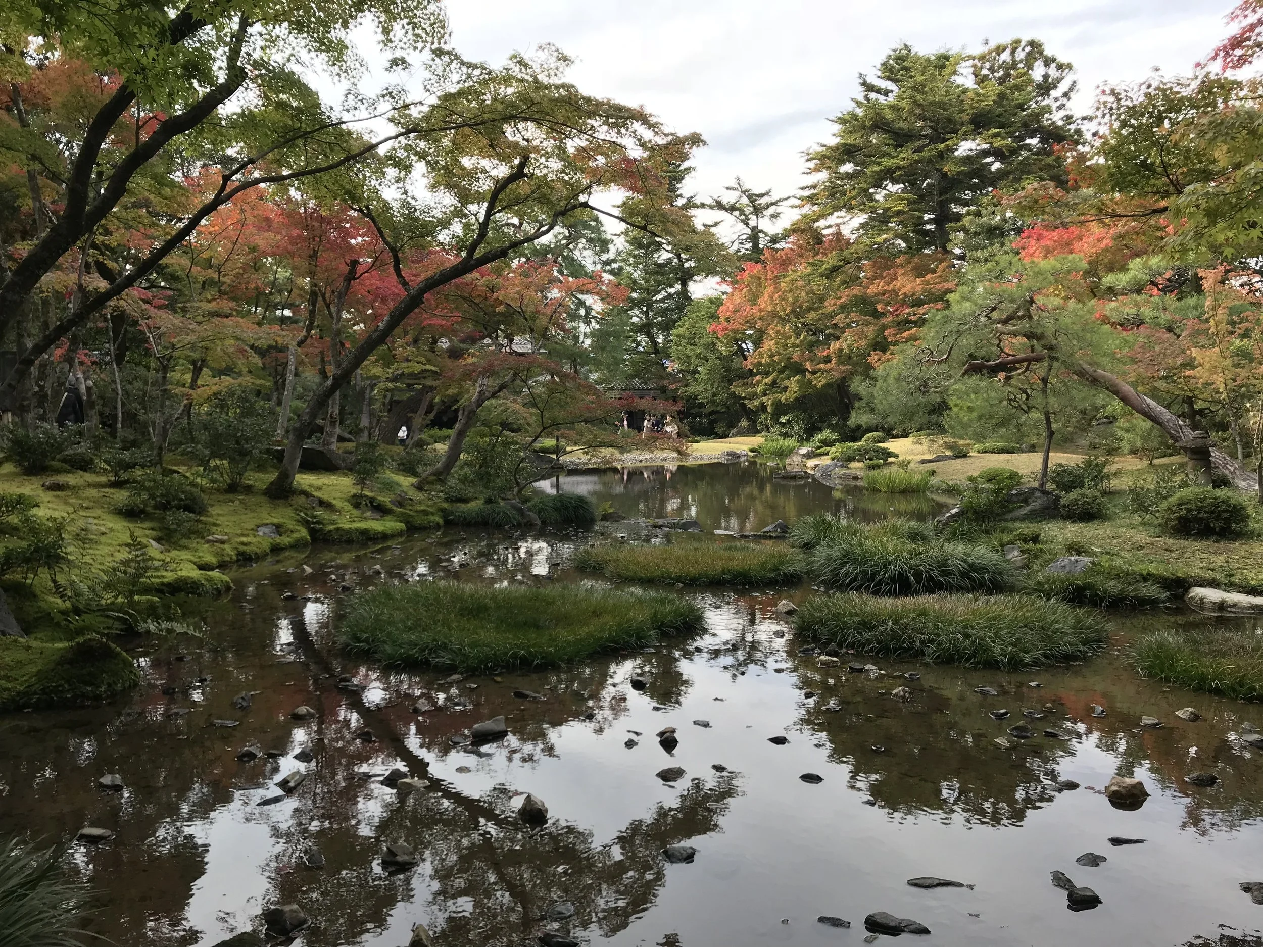 A day before my trip to the mountains I visited many such gardens, beautifully interact behind temple walls. Behind the walls they became a symbol for me, precious little enclosed gems protected from much of the outside world. However as the winds and rains become fiercer the walls are a false sense of security.