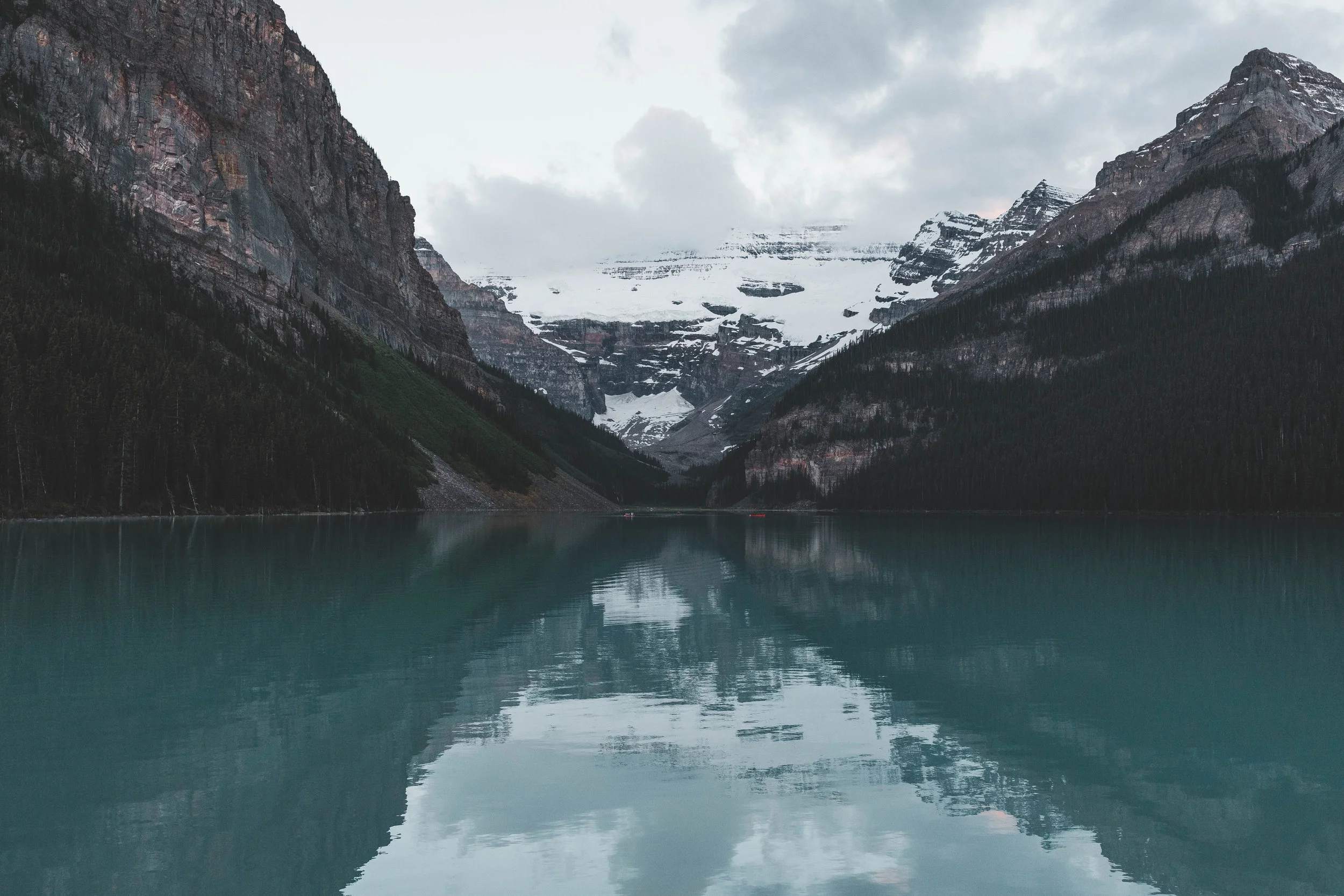 FOCUS requires the ability to withdraw the senses from distraction. To create a calm, tranquil space in the mind, use essential oils that help to quiet and focus the mind.