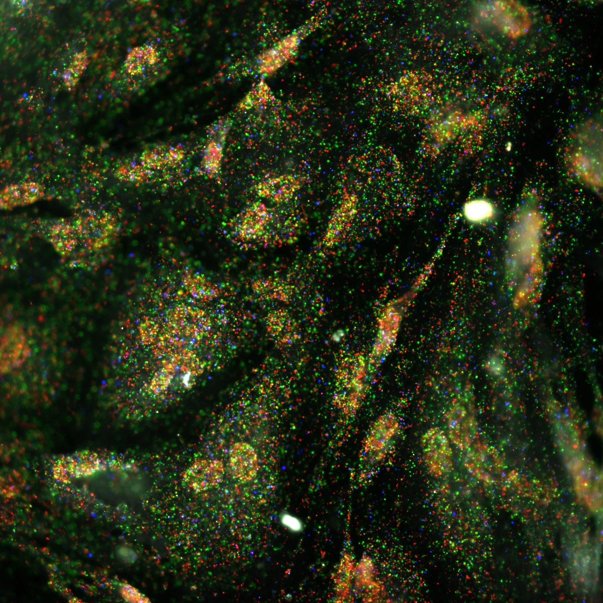   Explore our partnerships  