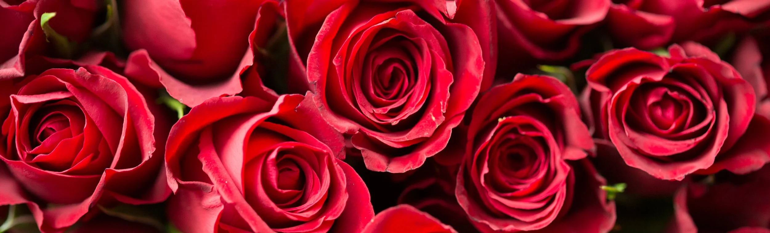 The Bachelor Drinking Game (or Exercise Game for you Dry January overachievers)